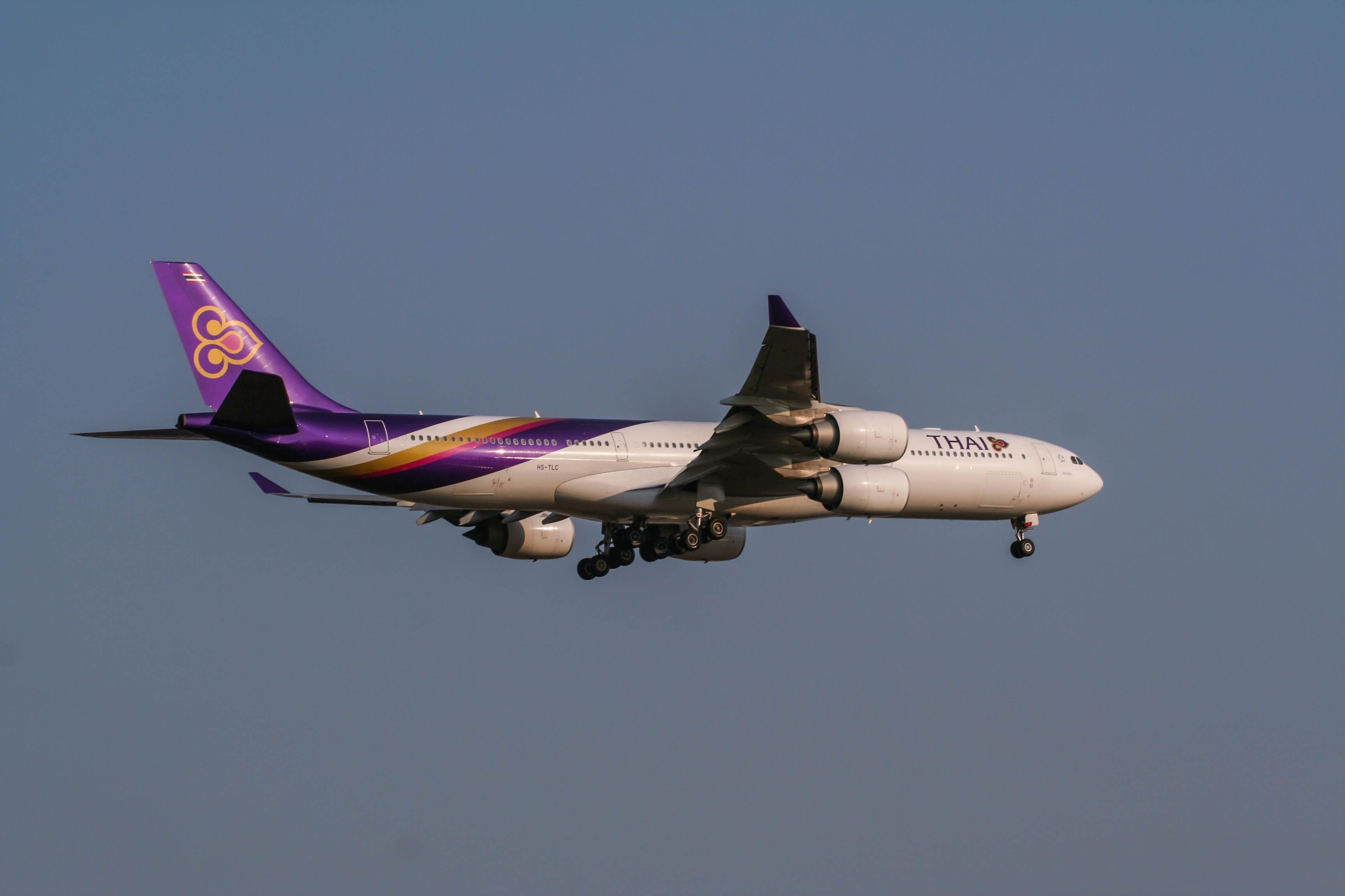 ☆THAI AIRLINE A340-500 プラチナシリーズモデル　タイ ☆THAI AIRLINE A340-500 プラチナシリーズモデル タイ - メルカリ