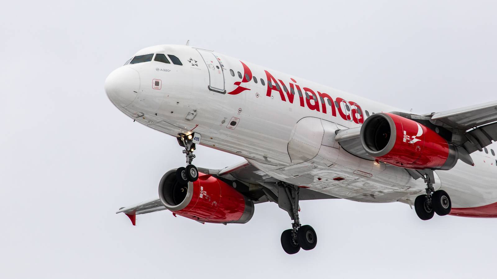 Avianca Adds Braille Signage Onboard Its Aircraft