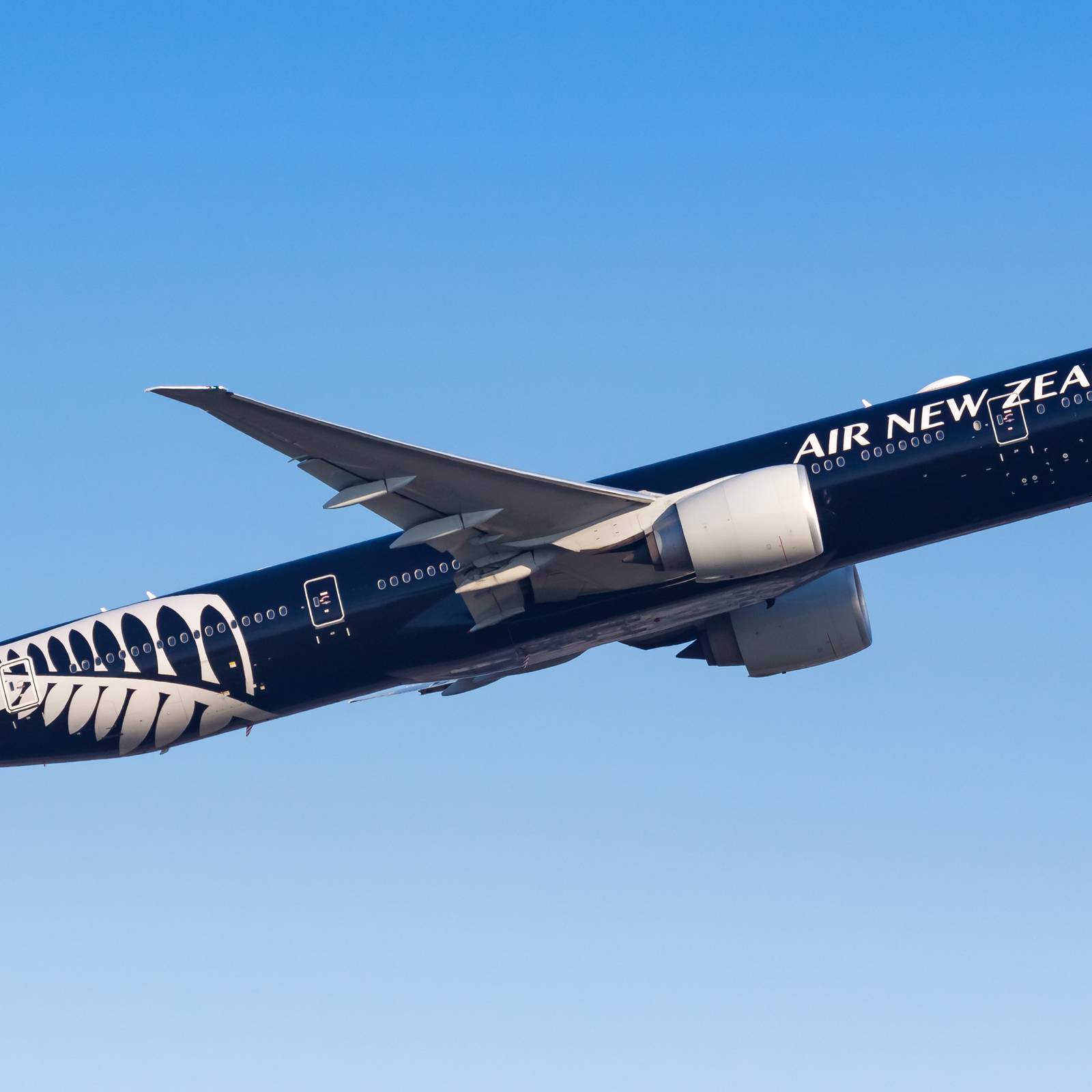 Ануста кішкентай пенис