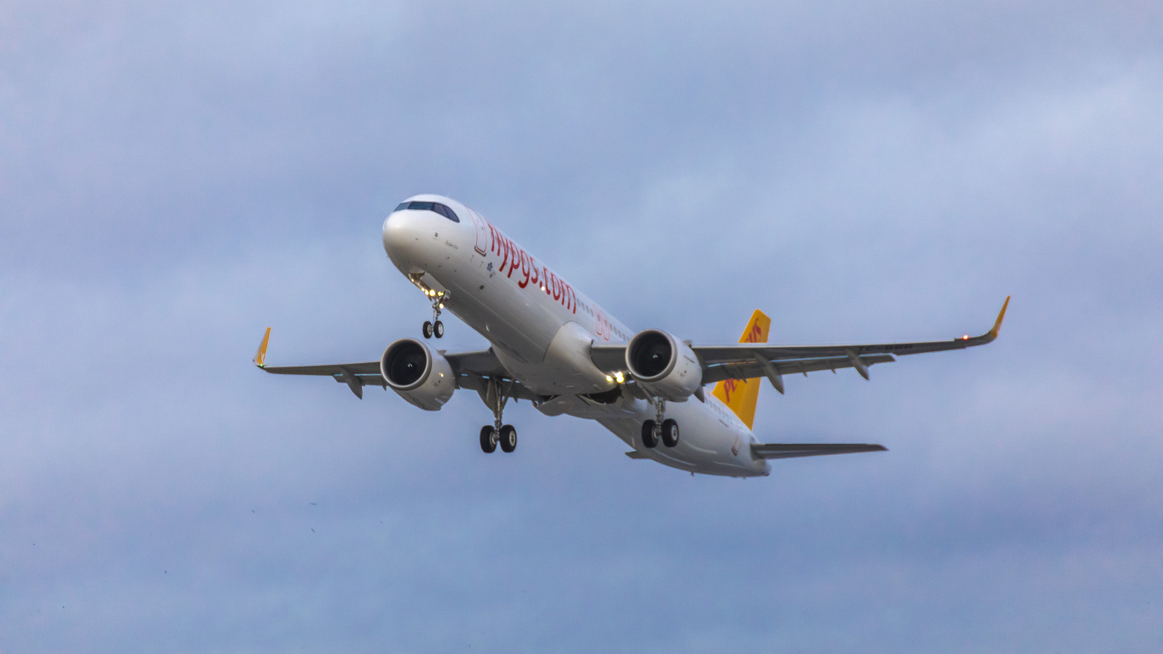 Founded With Aer Lingus: The History Of Pegasus Airlines