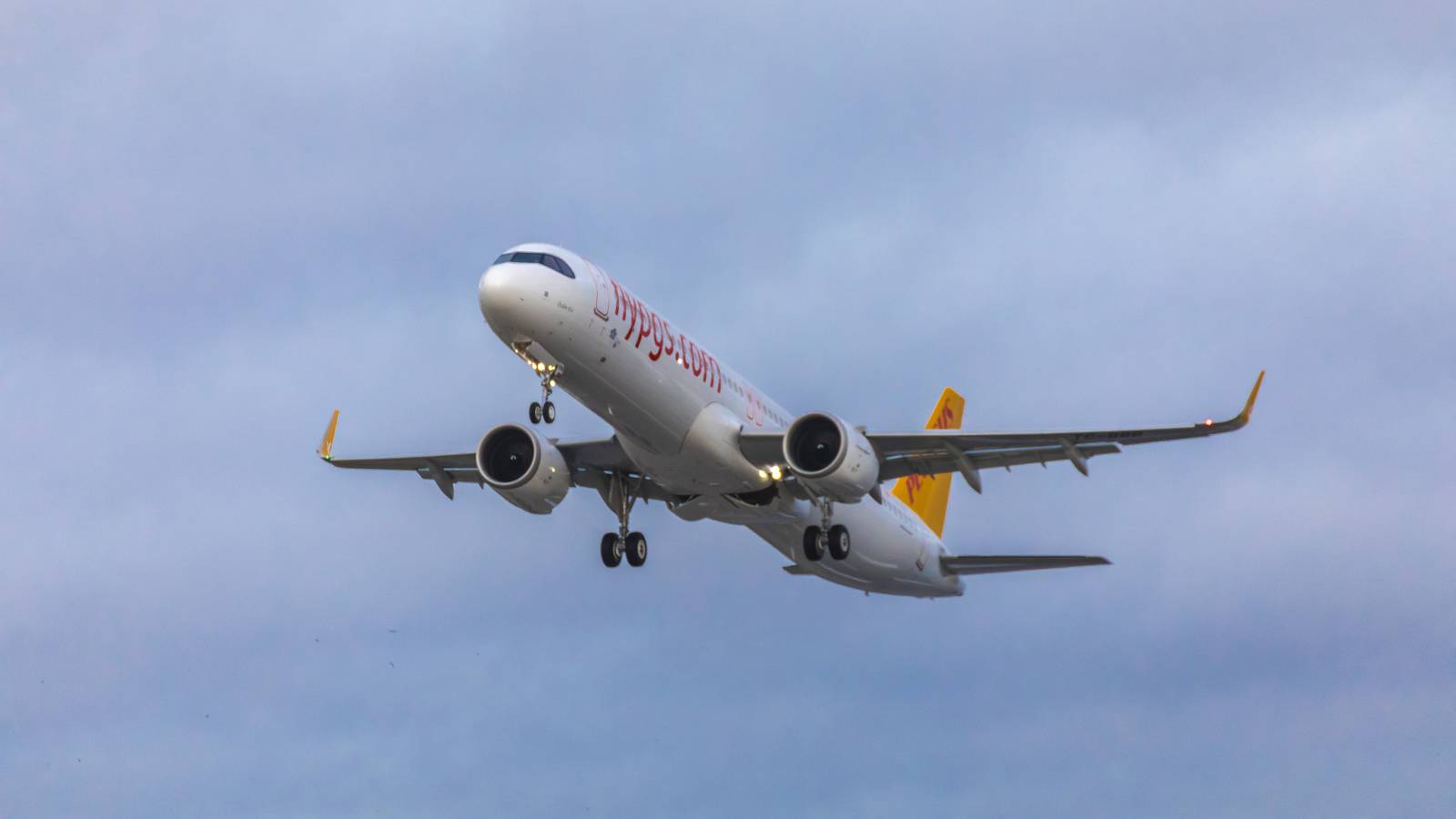 Founded With Aer Lingus: The History Of Pegasus Airlines