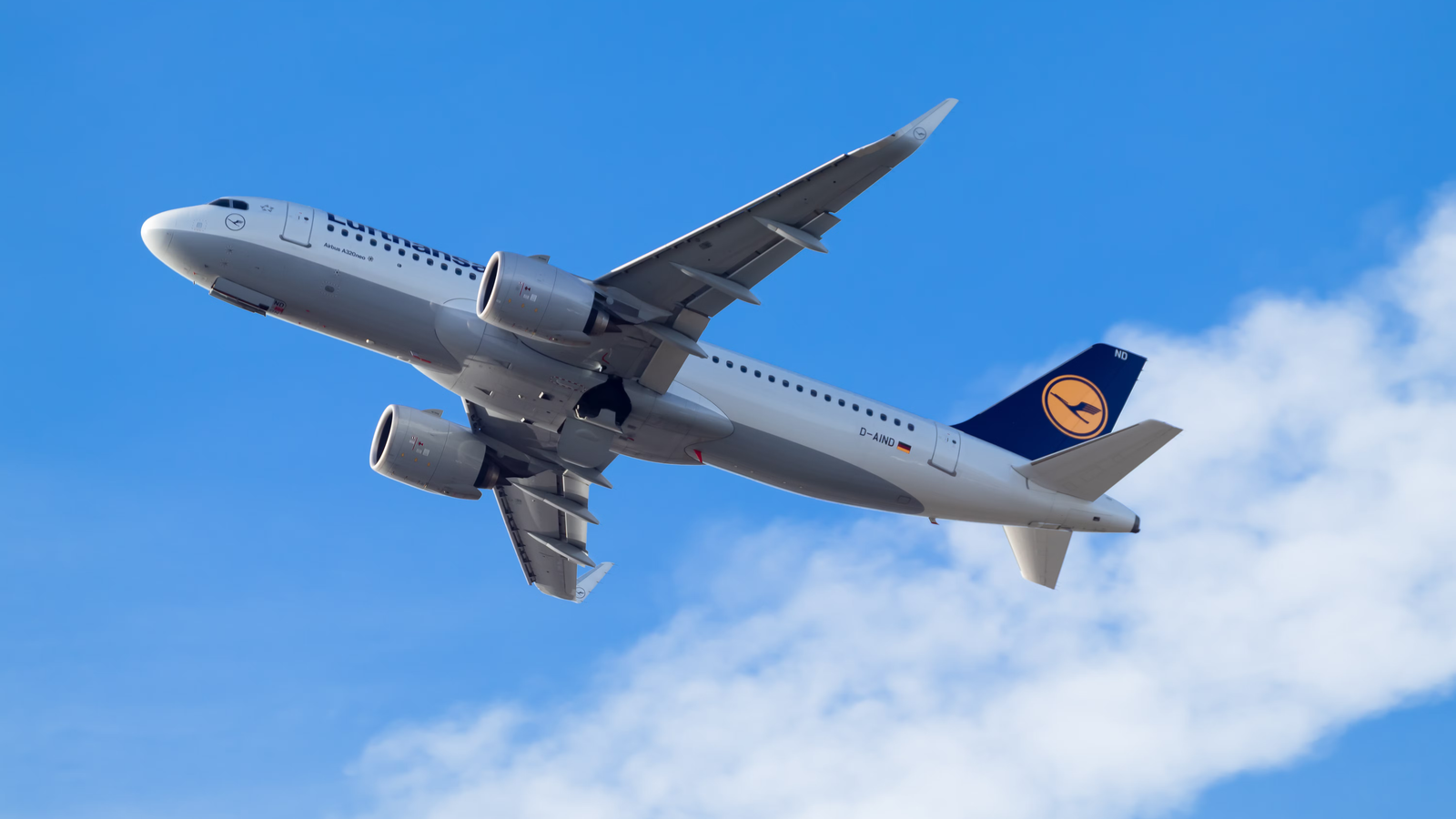 Where Does Leftover Food From Planes Go?
