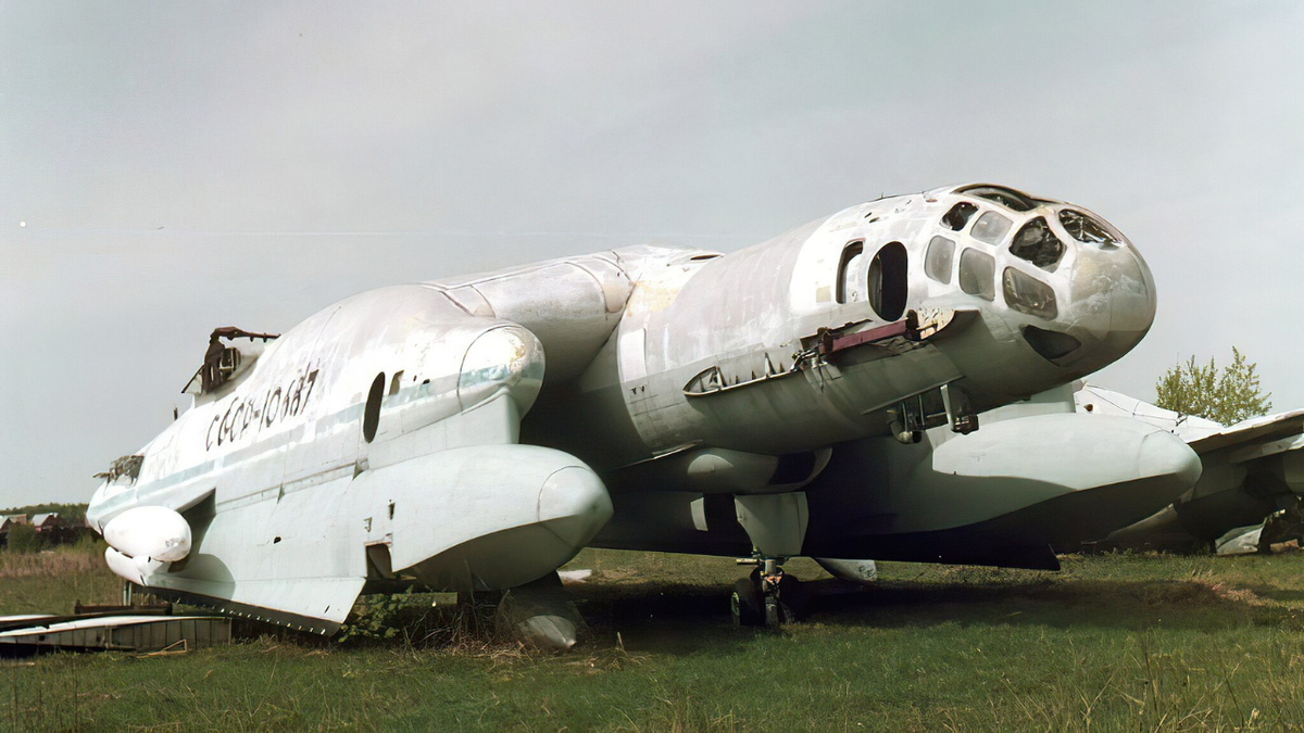 Obscure Amphibious Aircraft: What Was The Bartini Beriev VVA-14?