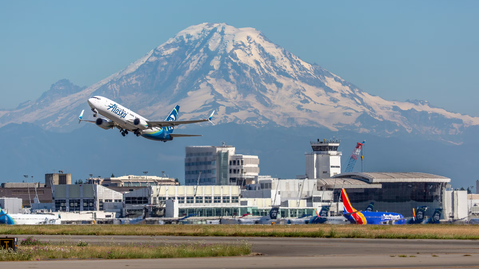 2023 Was The Busiest Summer For Passenger Traffic In Seattle