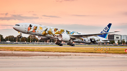 ANA 777 Eevee