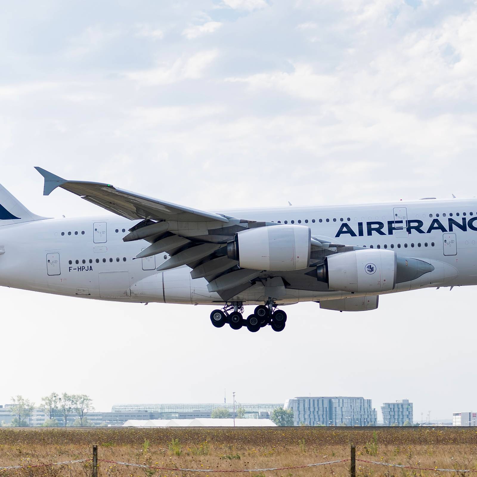 img_2823.jpeg?w=1600&h=1600&