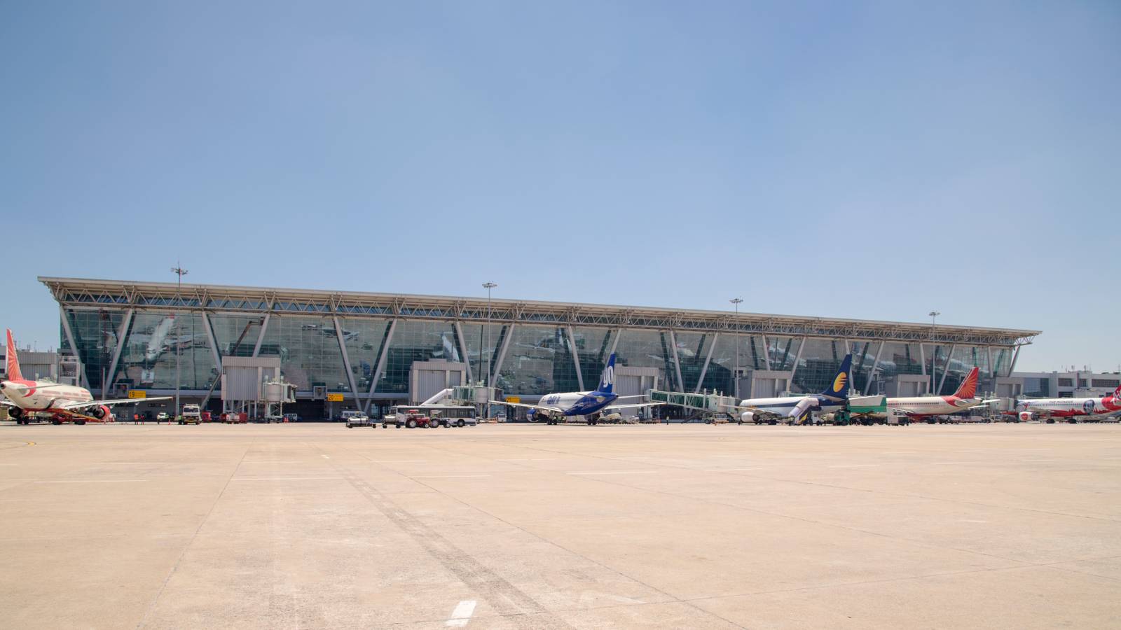 Snakes Alive! Pythons Recovered From A Passenger’s Bag At Chennai Airport