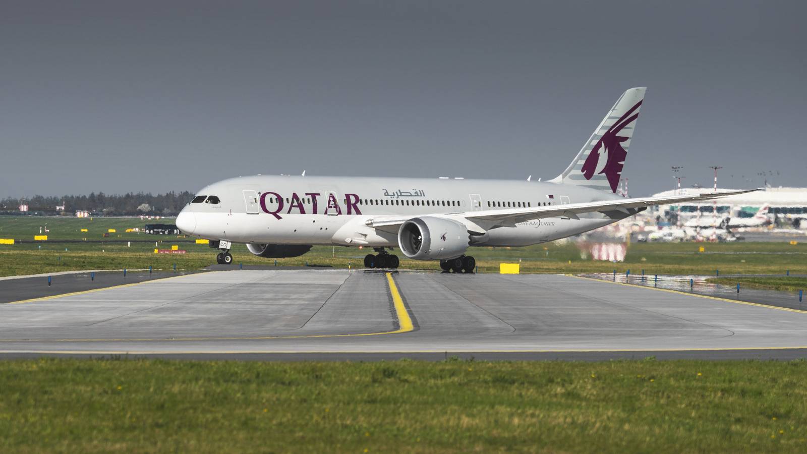 How Qatar Airways Helped To Relocate 'The World's Loneliest Lion'