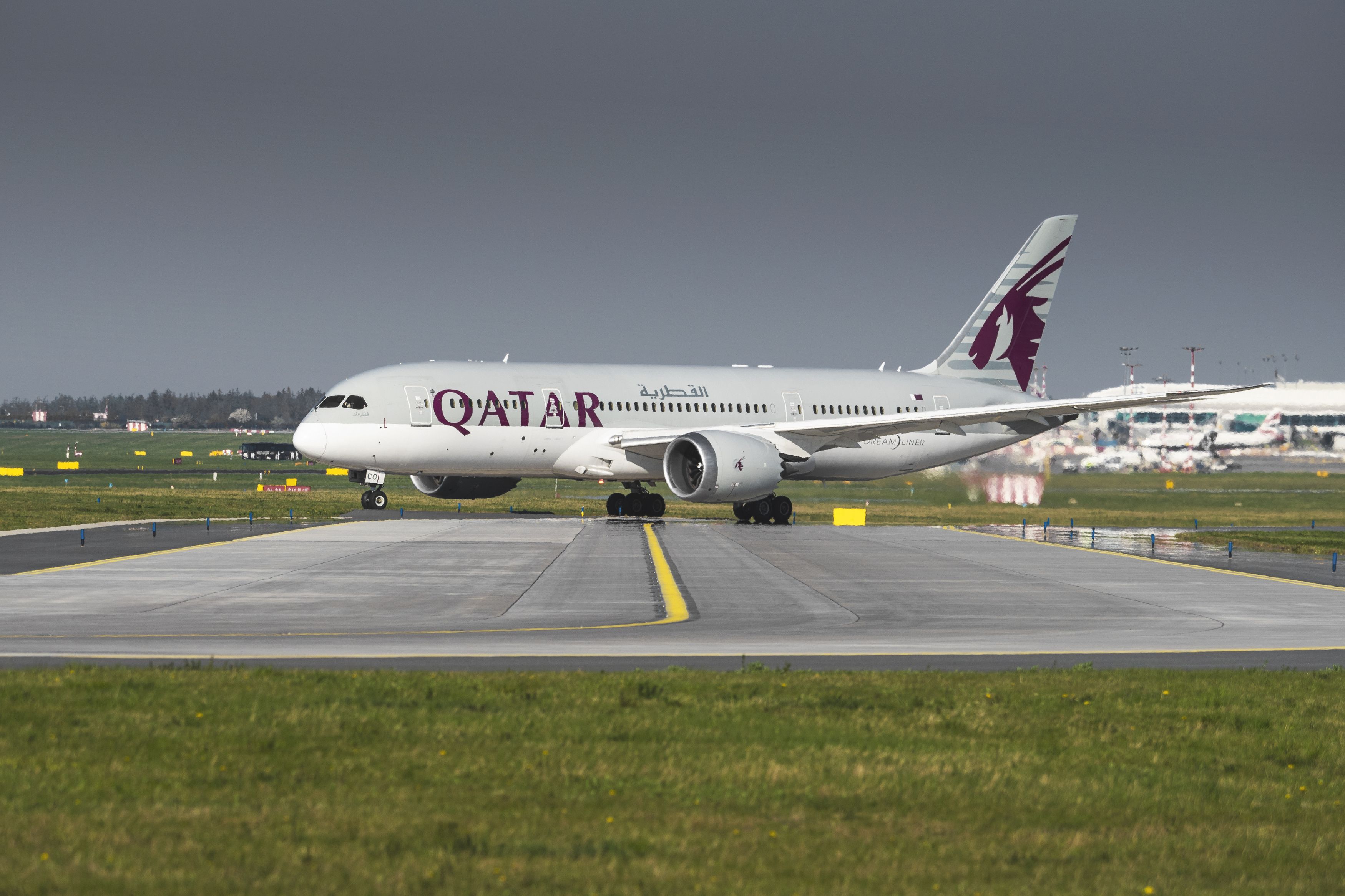 How Qatar Airways Helped To Relocate 'The World's Loneliest Lion'