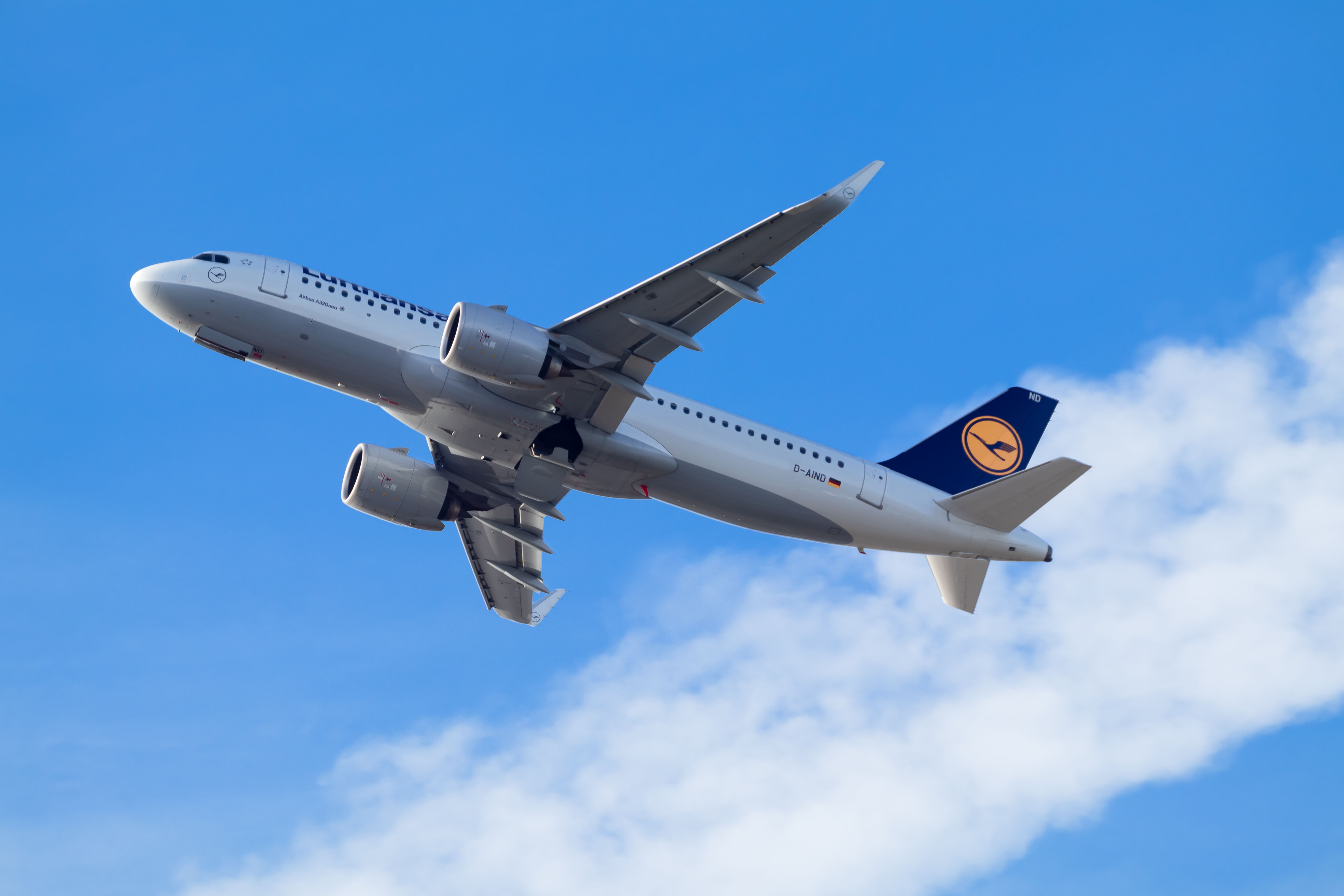 Where Does Leftover Food From Planes Go?