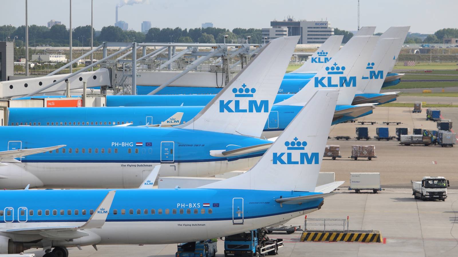 IATA Optimistic But Walsh Warns Capacity Cuts Will Destroy Jobs
