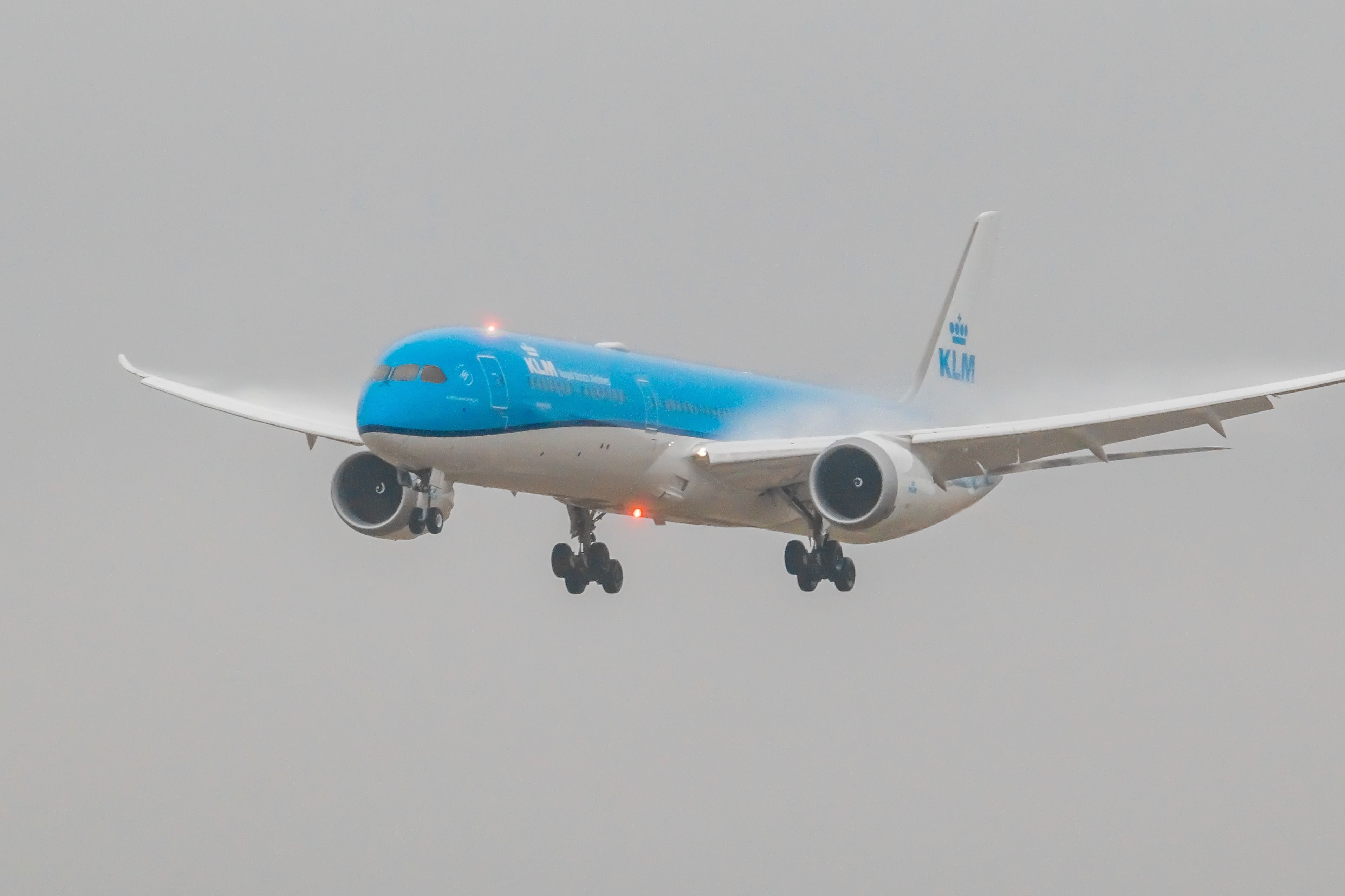 KLM Wins 'Best Adoption' Award For Inspiring Sustainability