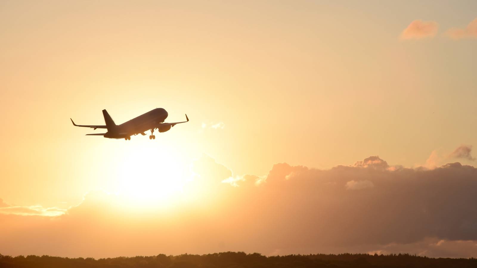 Algeria Opens Airspace To Morocco Earthquake Aid Flights