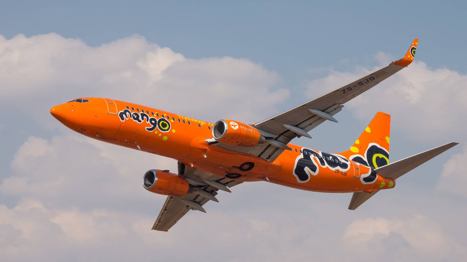 South African Minister Refuses To Be Rushed By Court In Mango Airlines Sale
