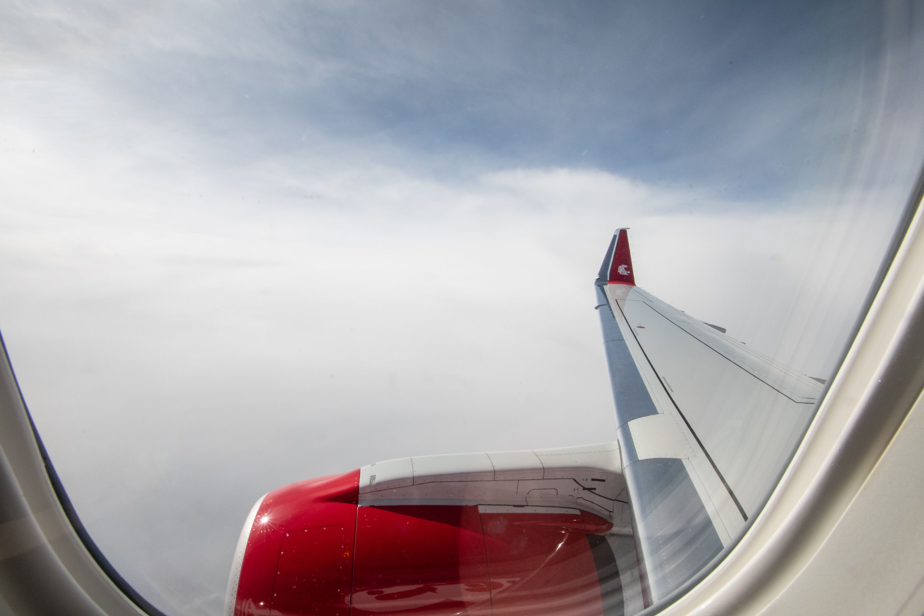 Flight Review: Alaska Airlines' New 'Go Cougs' Embraer E175 From ...