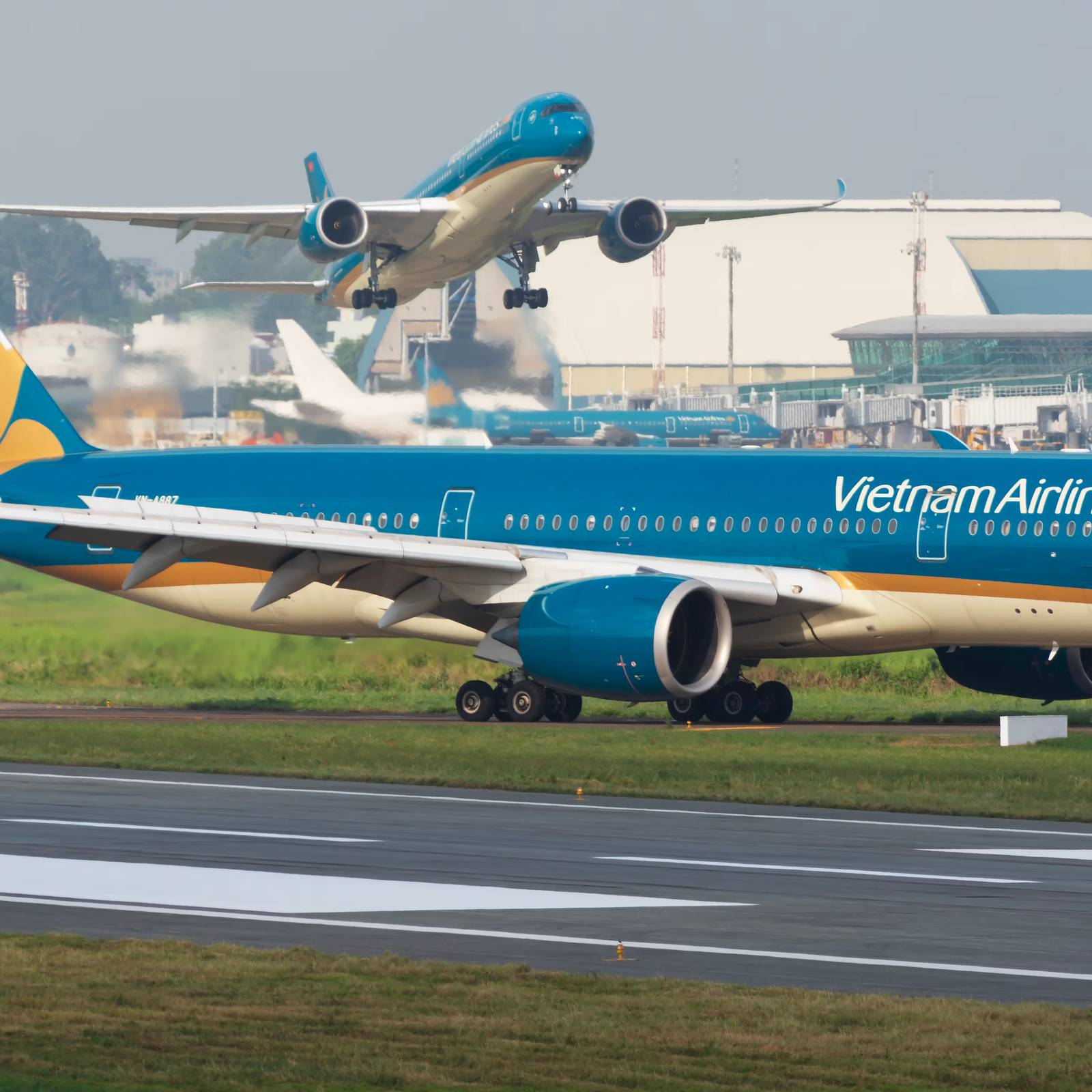 3/24 new!!BIG Vietnam Airlines ／エアバスA350 3/24 new!!BIG Vietnam Airlines ／エアバスA350 3/24 new!!BIG