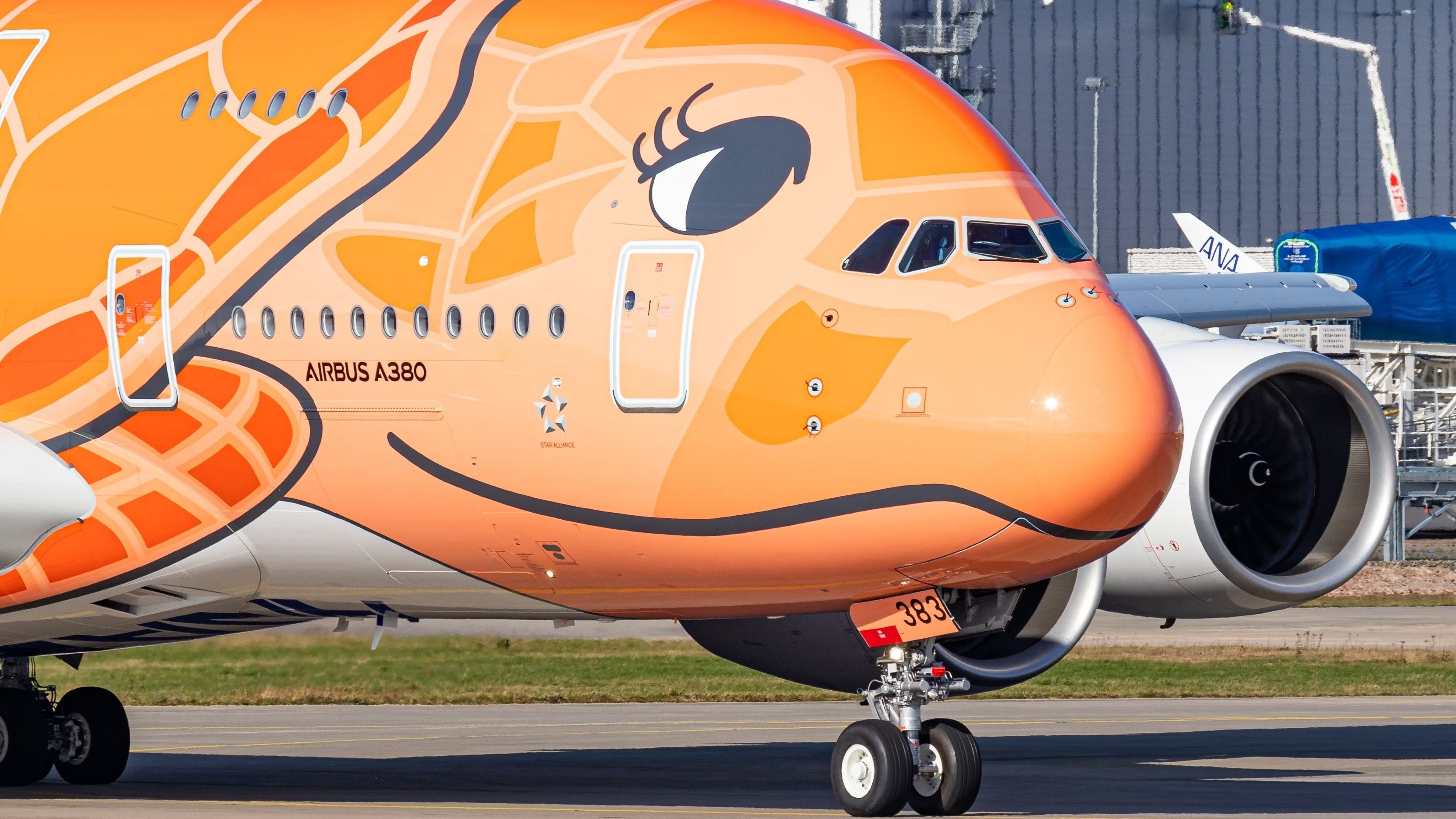 What's Inside The ANA Flying Honu Airbus A380s?