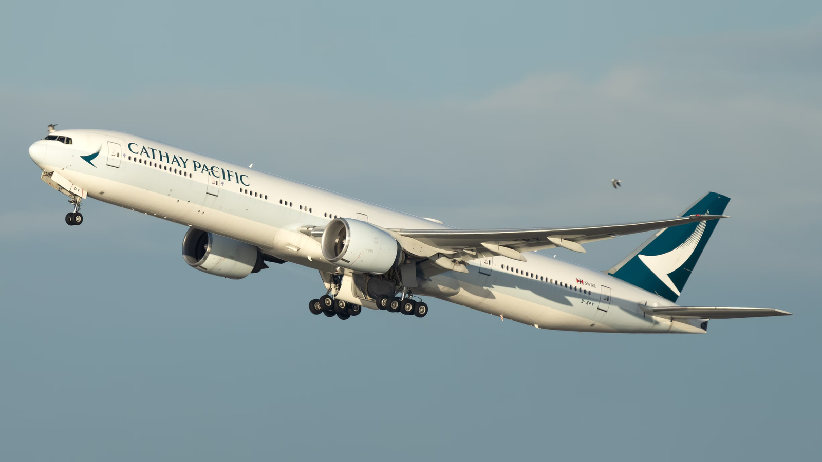 An Aircraft's Angle Of Attack: Everything You Need To Know
