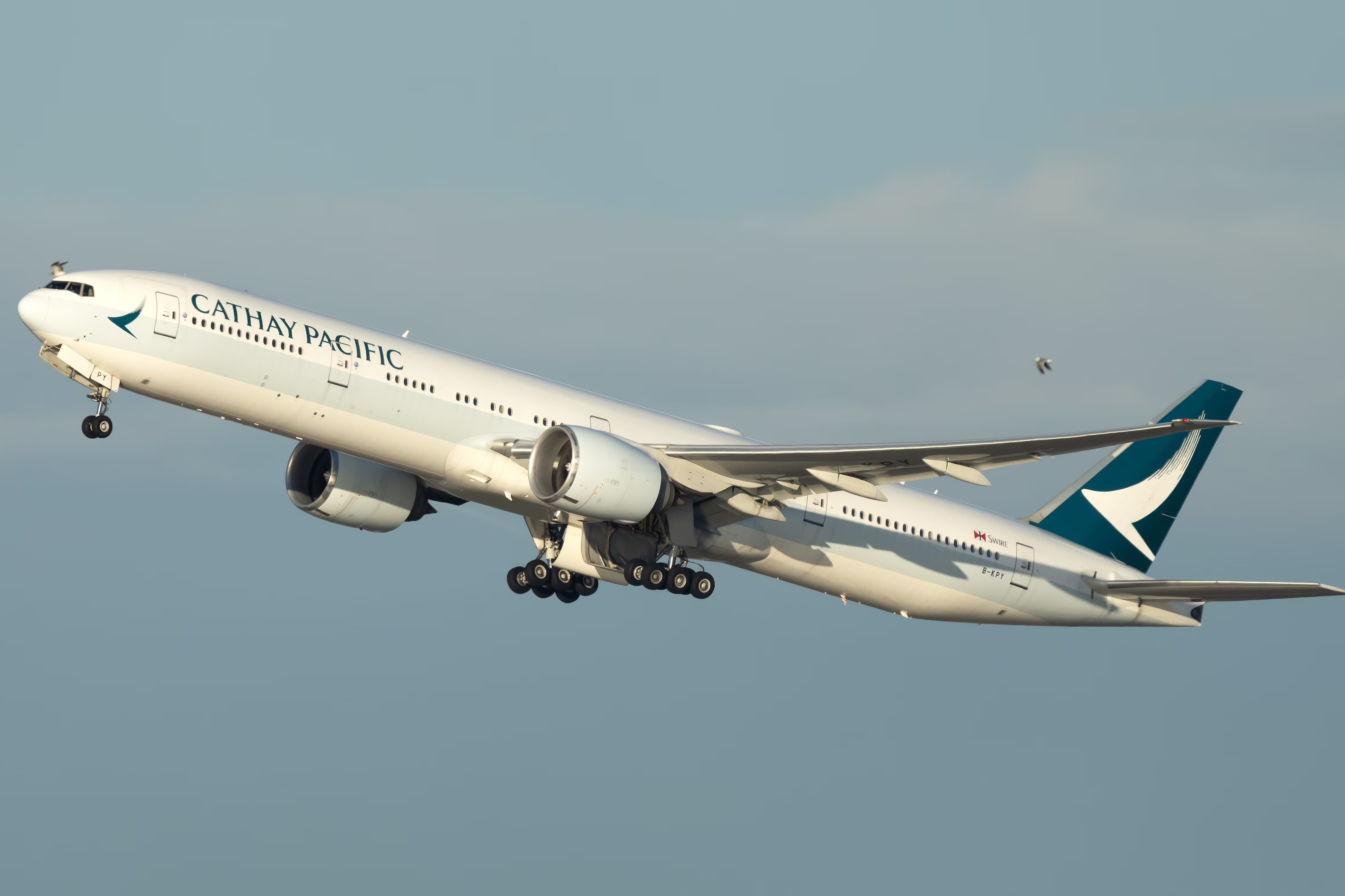 An Aircraft's Angle Of Attack: Everything You Need To Know