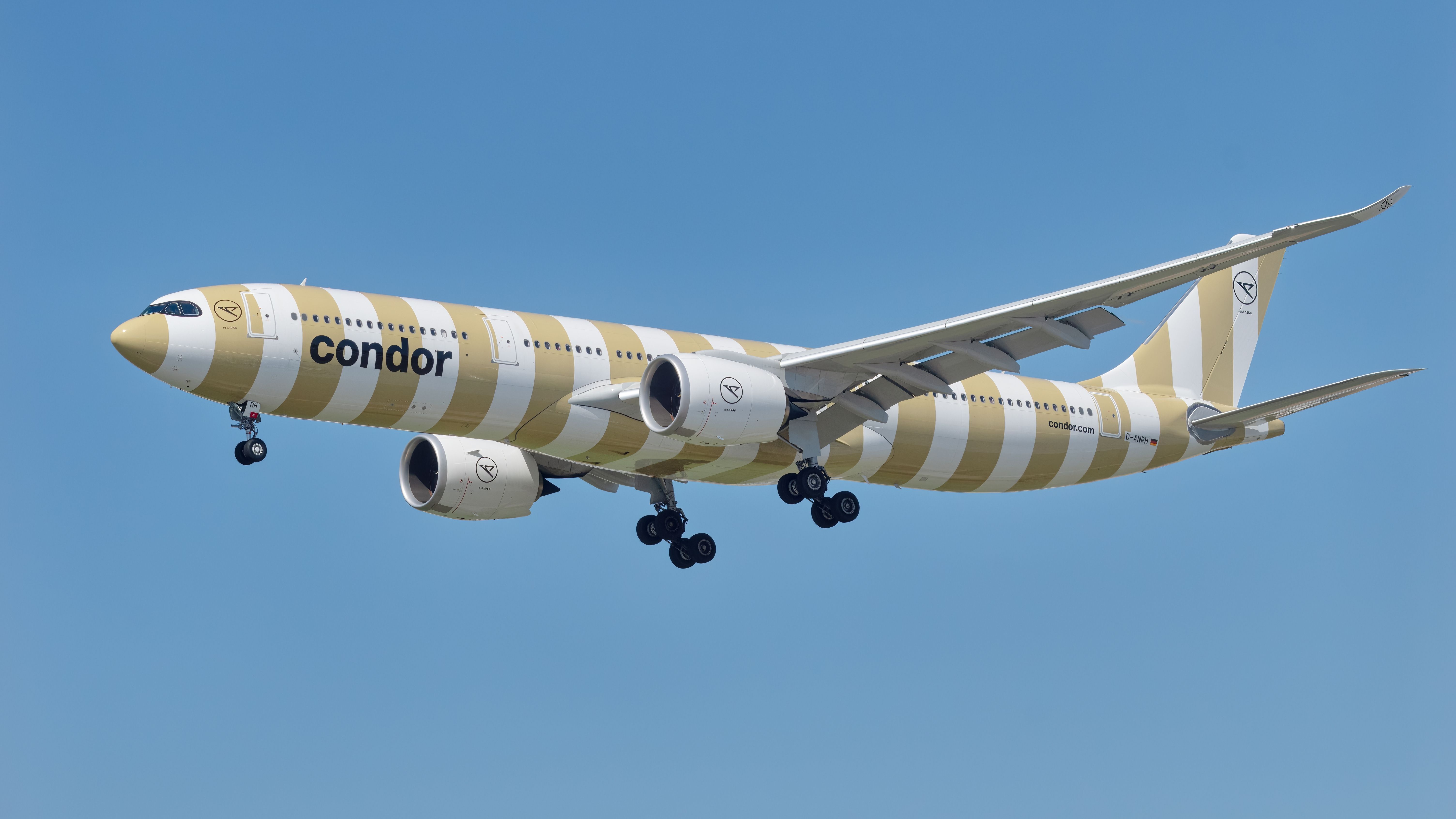5 Colorful Airline Liveries That Turn Heads Wherever They Go