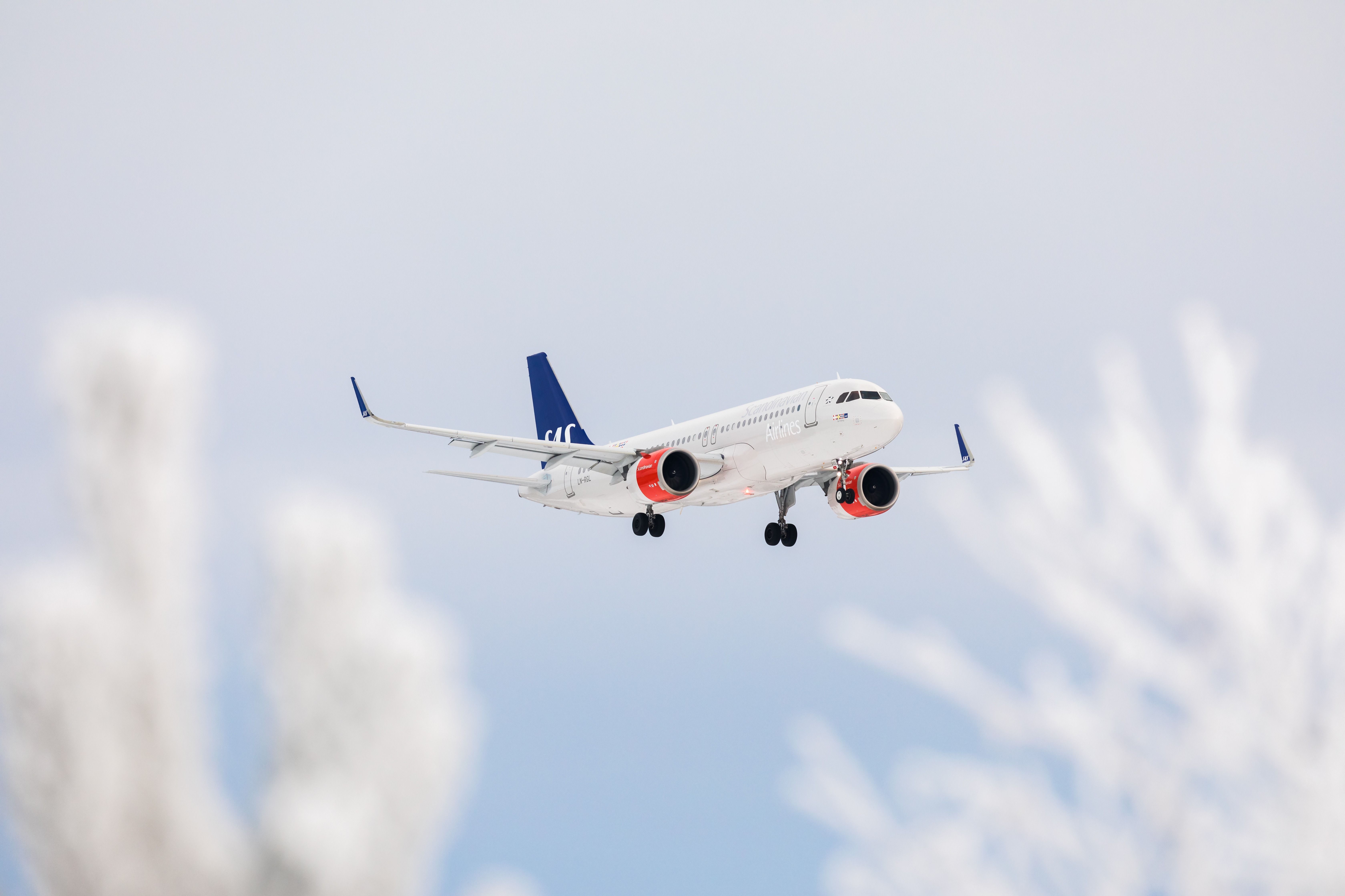SAS Set To Leave Chapter 11 Bankruptcy After 1.5 Years