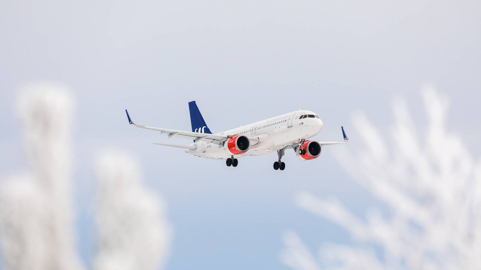 SAS Set To Leave Chapter 11 Bankruptcy After 1.5 Years