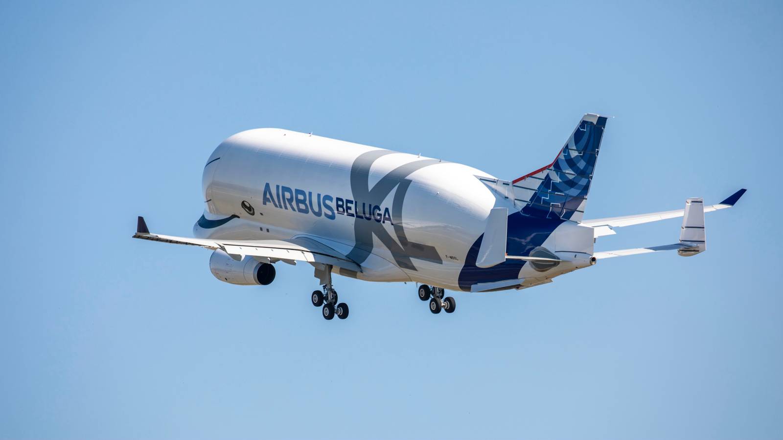Why Didn't Airbus Base The BelugaXL On The A330-800?