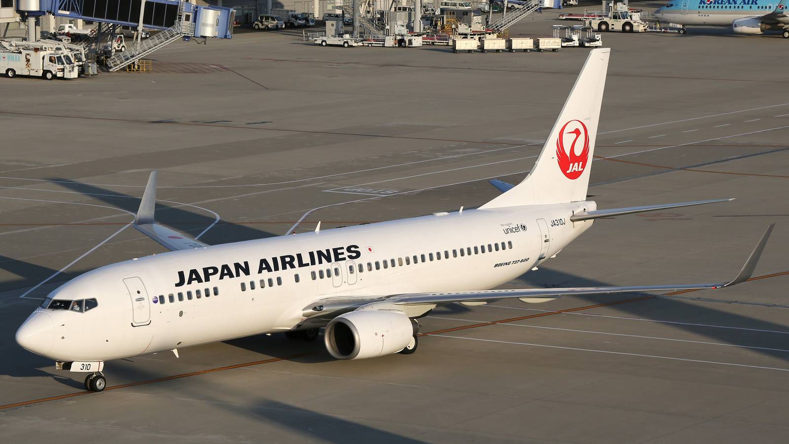 Japan Airlines Boeing 737-800 Suffers Burst Tire On Landing At Kagoshima
