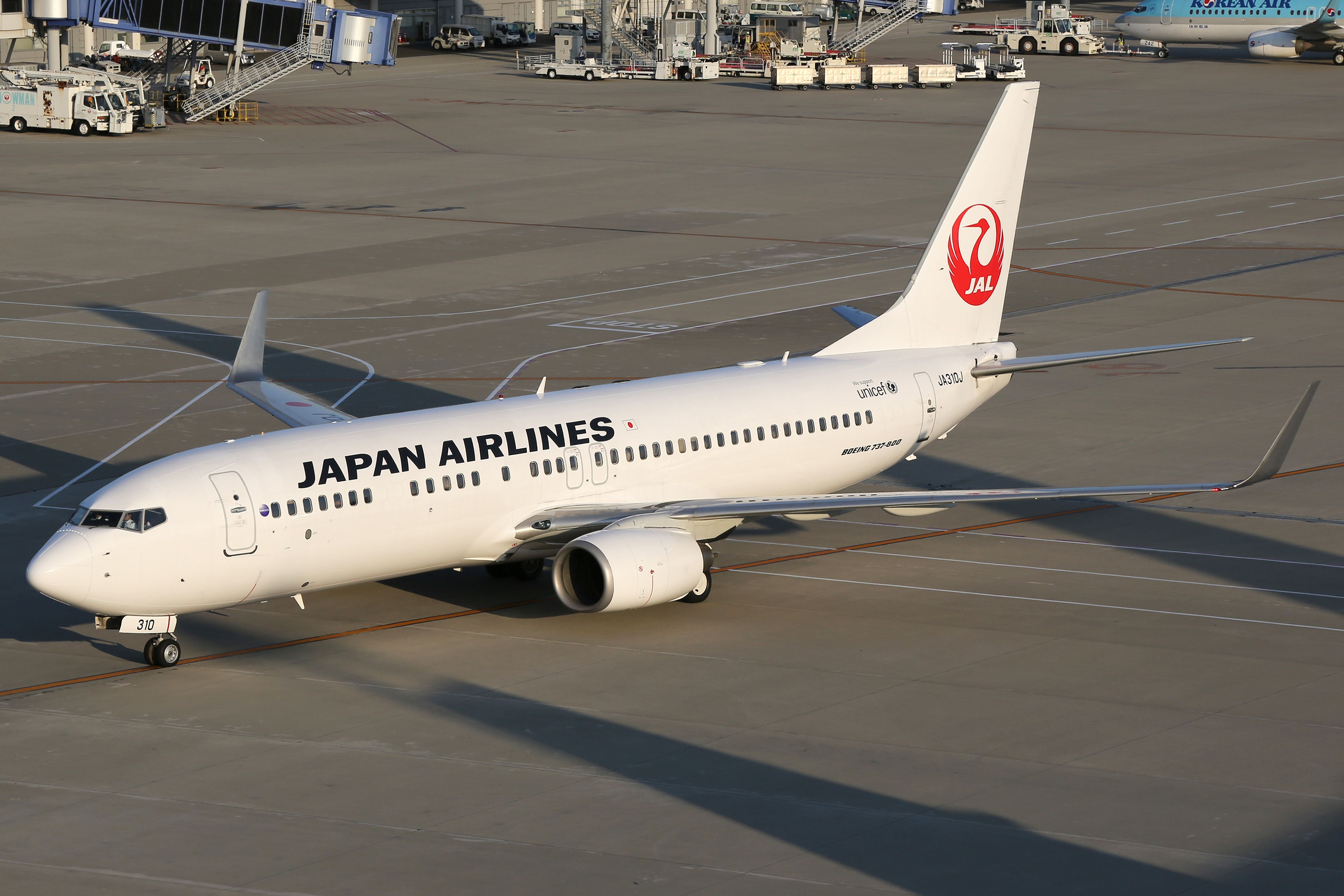 Japan Airlines Boeing 737-800 Suffers Burst Tire On Landing At Kagoshima