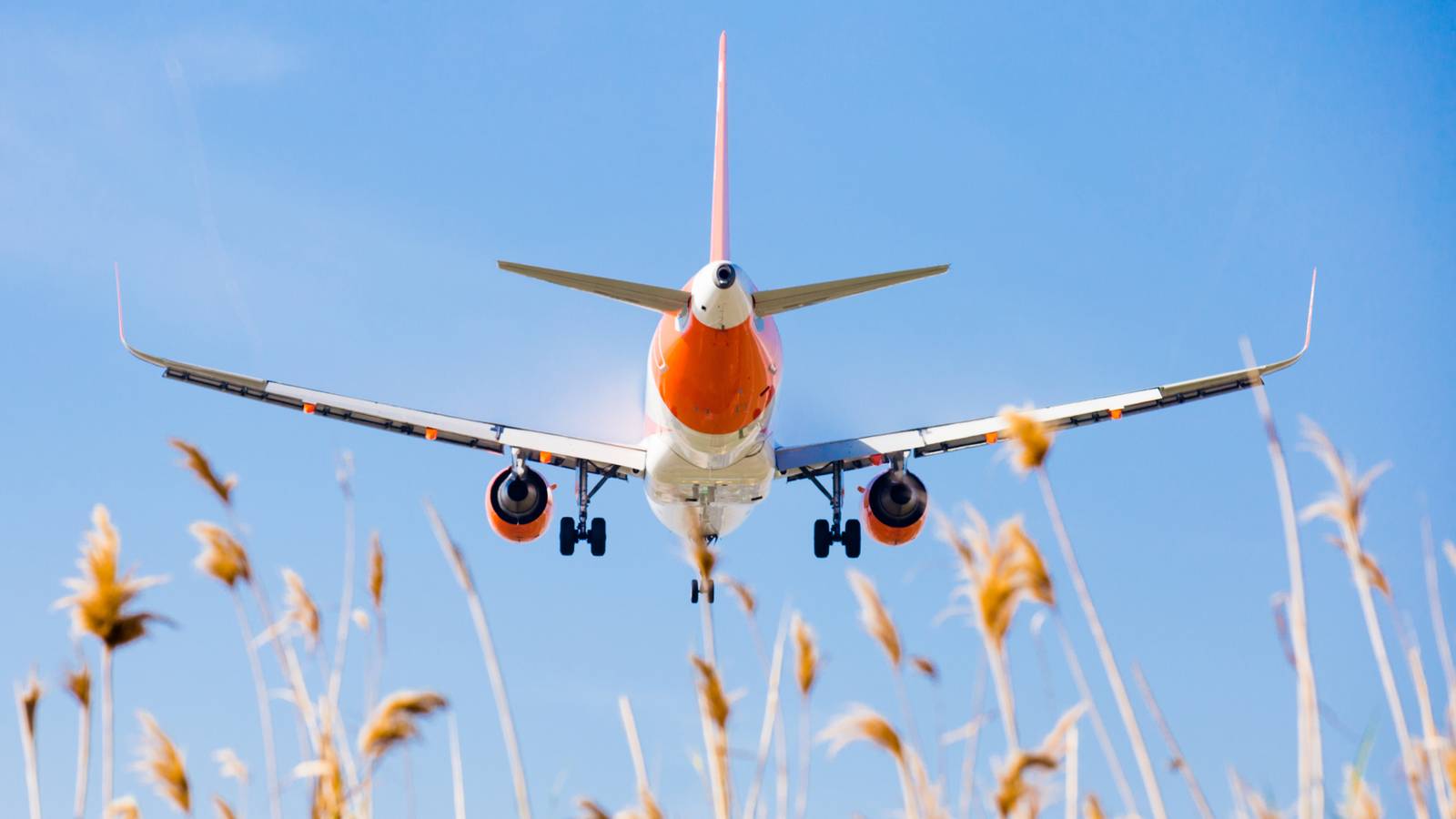 Nice Guys Come Last: UK Indie Band Easy Life Face Legal Action From easyJet Trademark Owner Due To Name Similarity