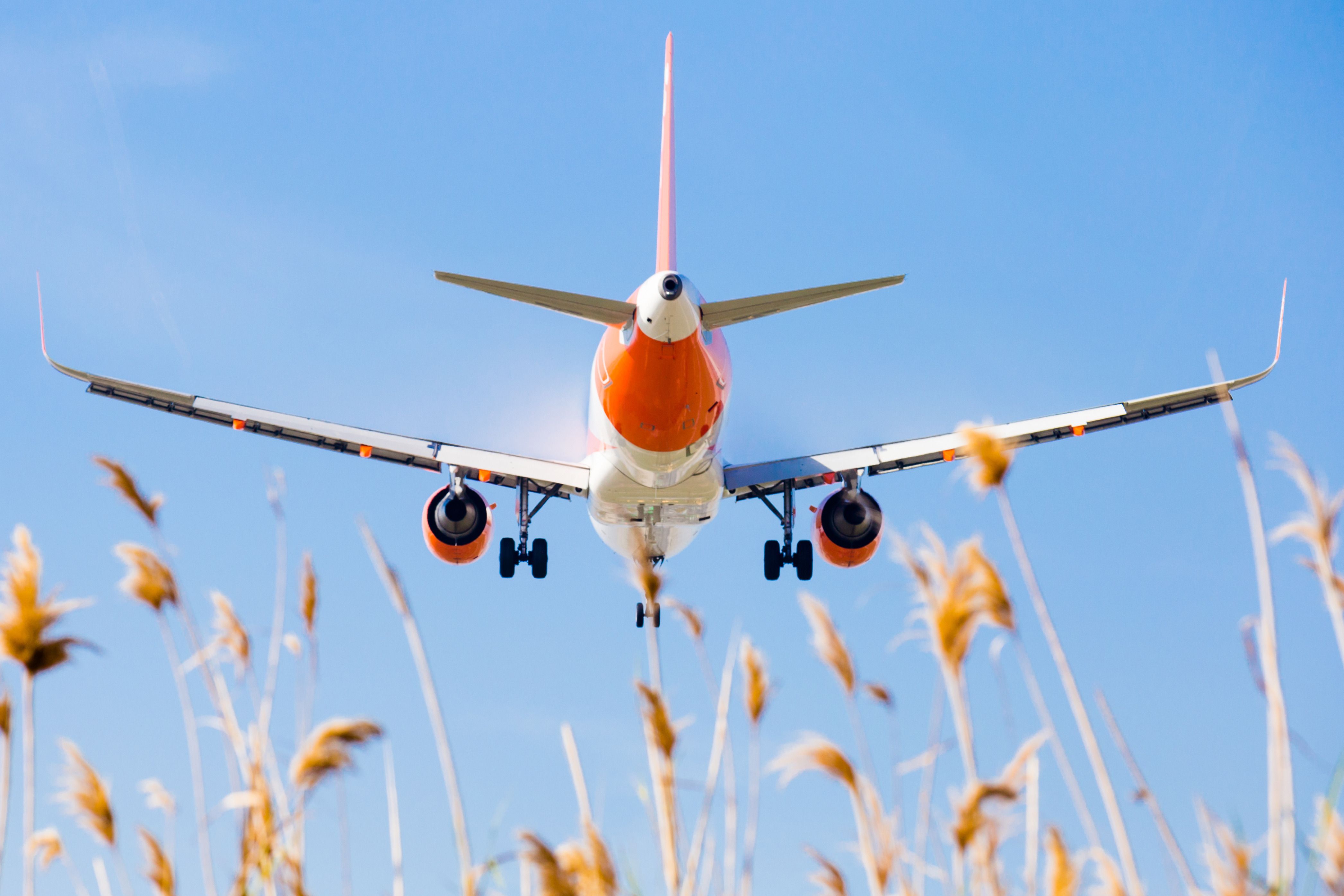 Nice Guys Come Last: UK Indie Band Easy Life Face Legal Action From easyJet Trademark Owner Due To Name Similarity