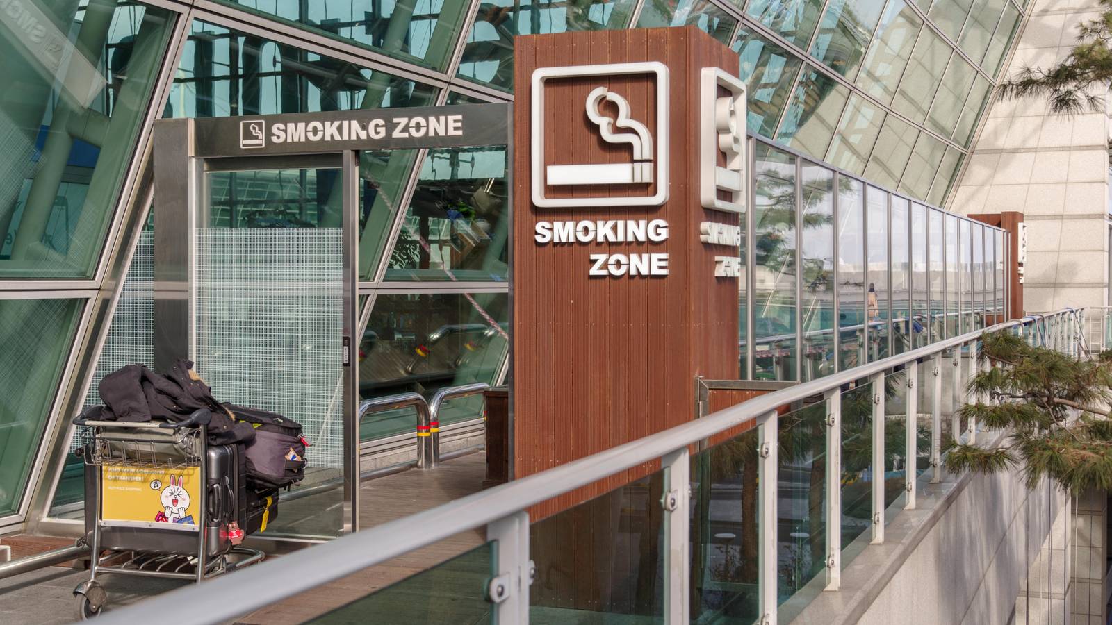 elfbar nachfüll pod läuft aus Flying with Disposable Vapes main image 1