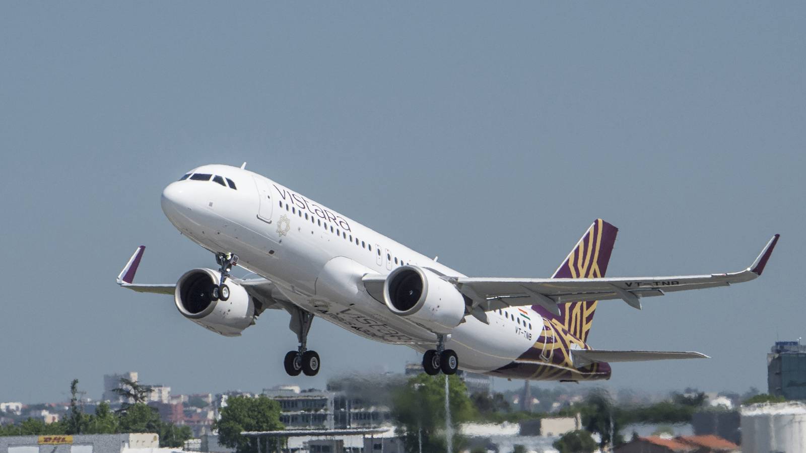 Vistara Airbus A320 Turns Back After Dog Spotted At Goa Airport Runway