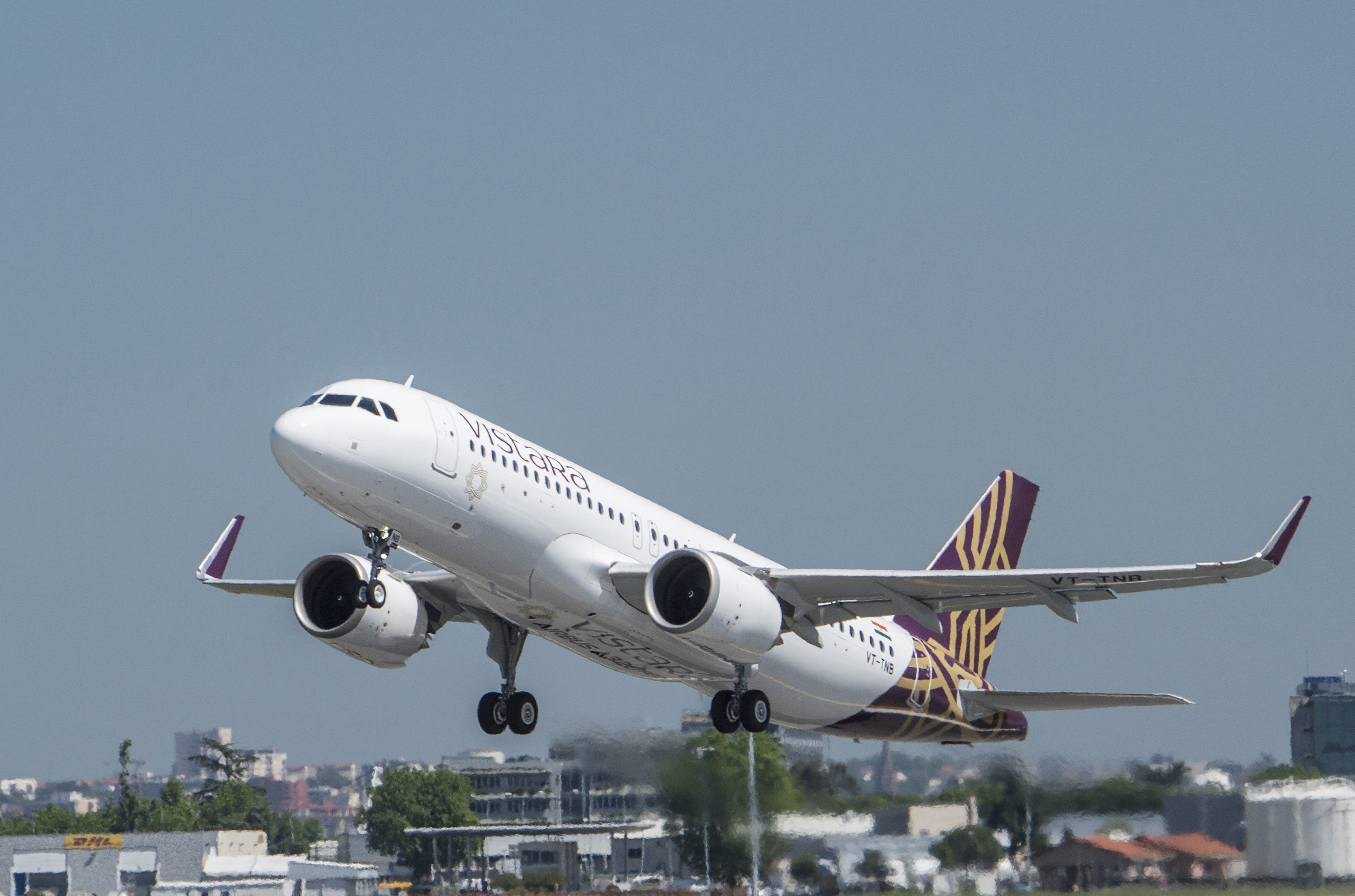 Vistara Airbus A320 Turns Back After Dog Spotted At Goa Airport Runway