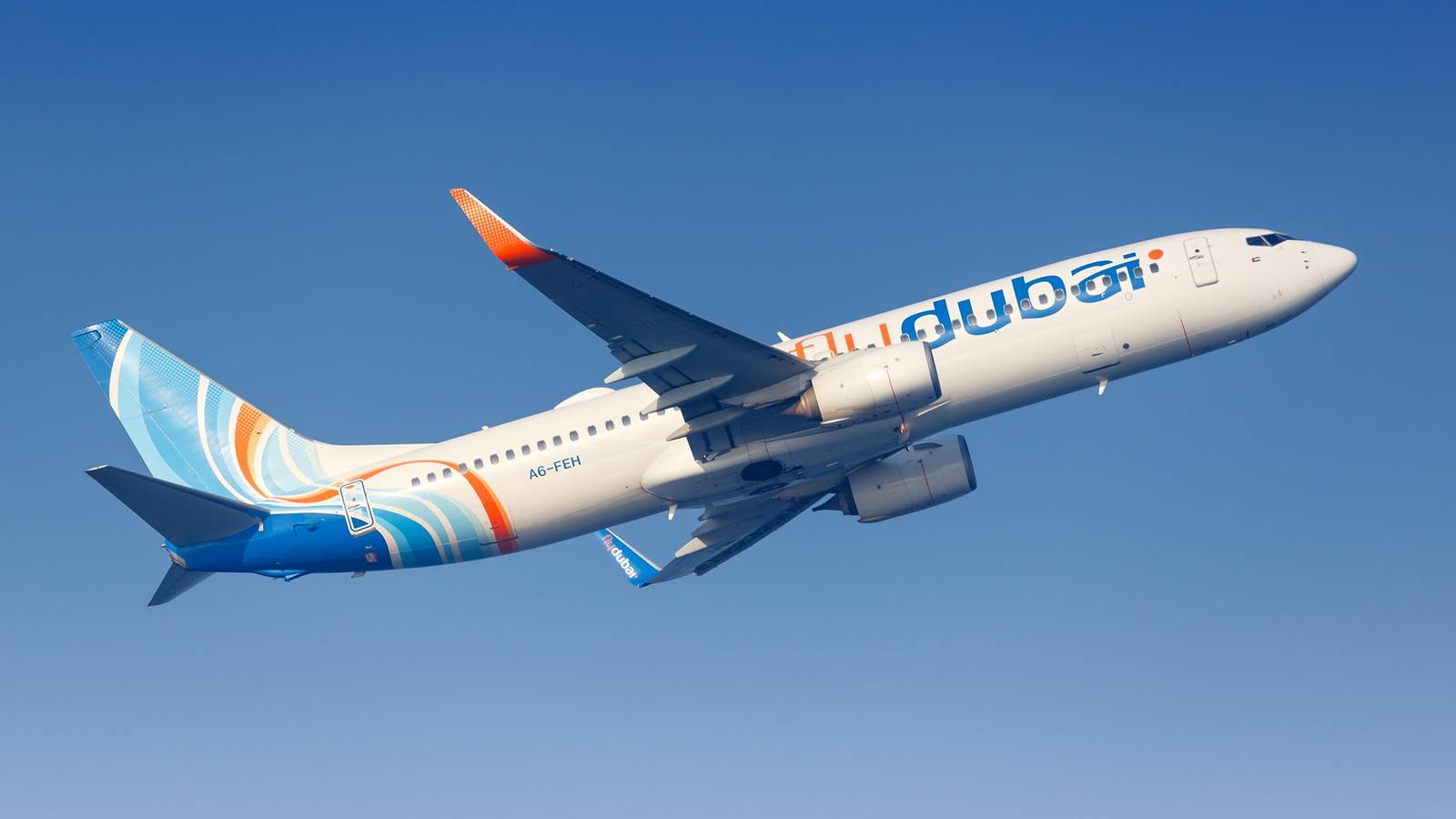 5 Rules For Transporting Live Animals on flydubai