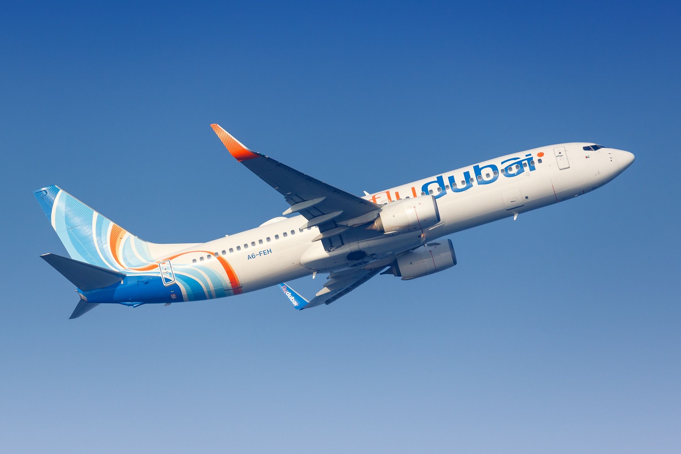 5 Rules For Transporting Live Animals on flydubai