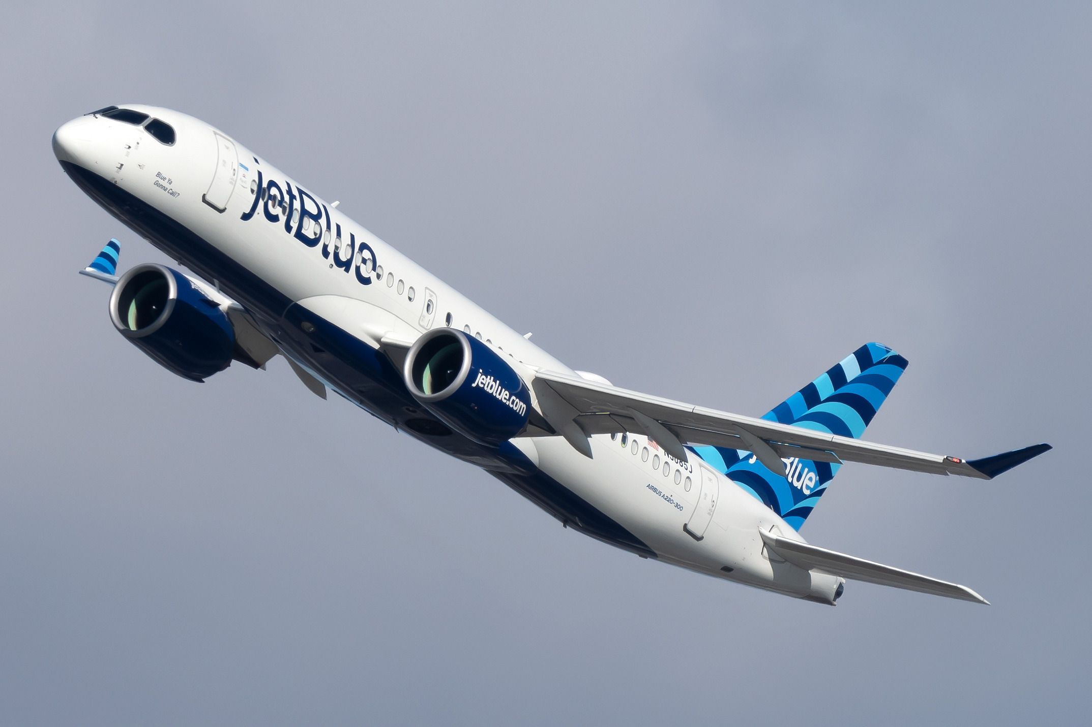 Programa de viajero frecuente TrueBlue de JetBlue: la guía de vuelo ...