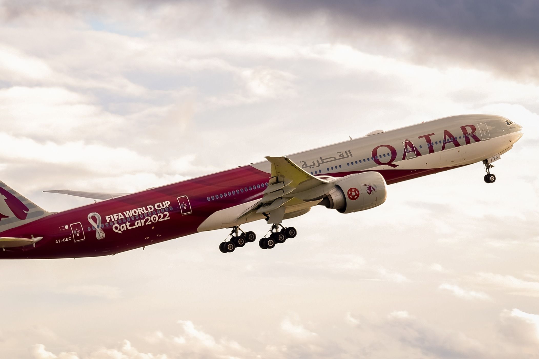 Why Does Qatar Airways Operate Near-Empty Flights Between Adelaide & Melbourne?