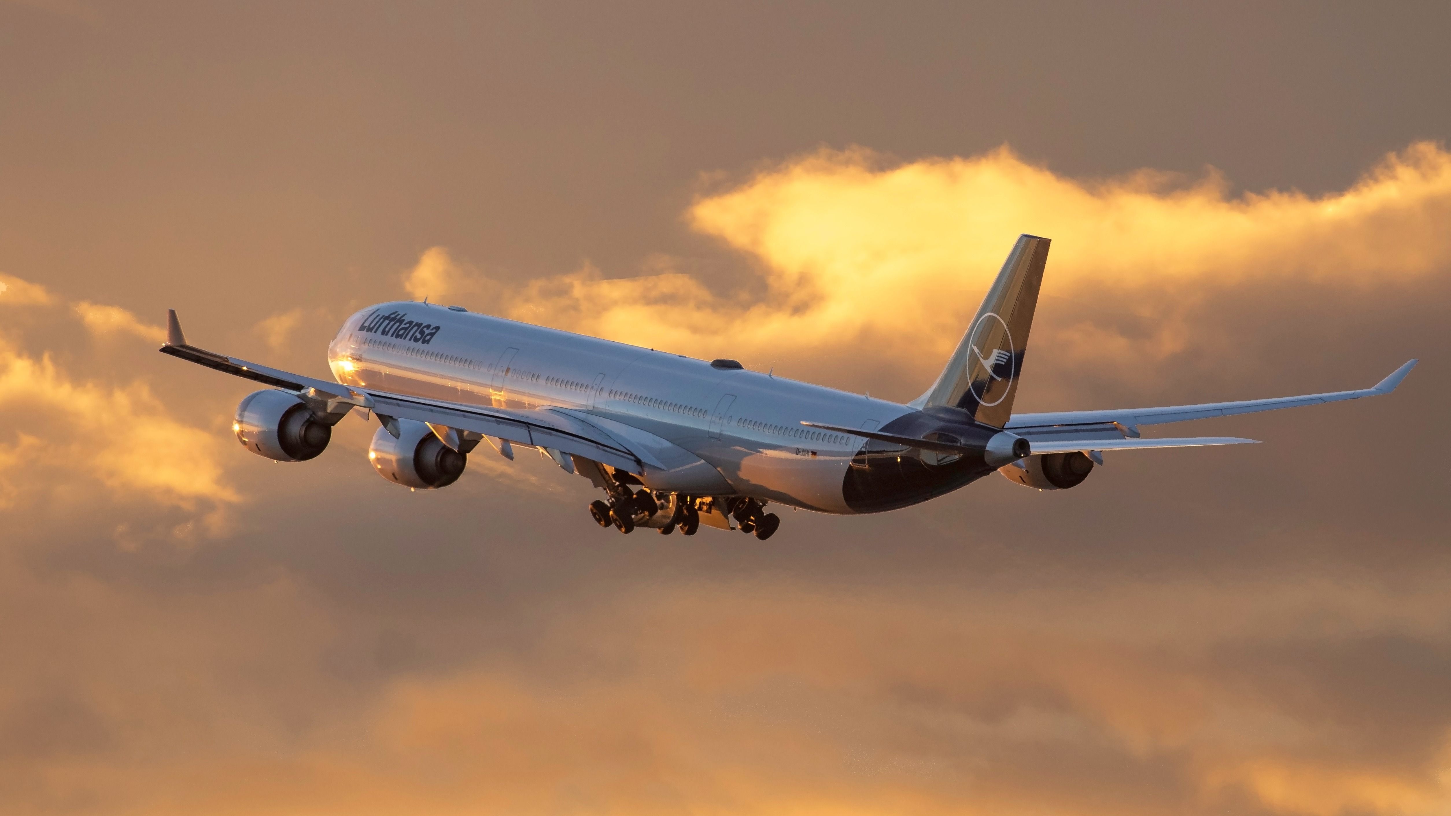 Lufthansa Airbus A340 Returns To Boston Following Bird Strike