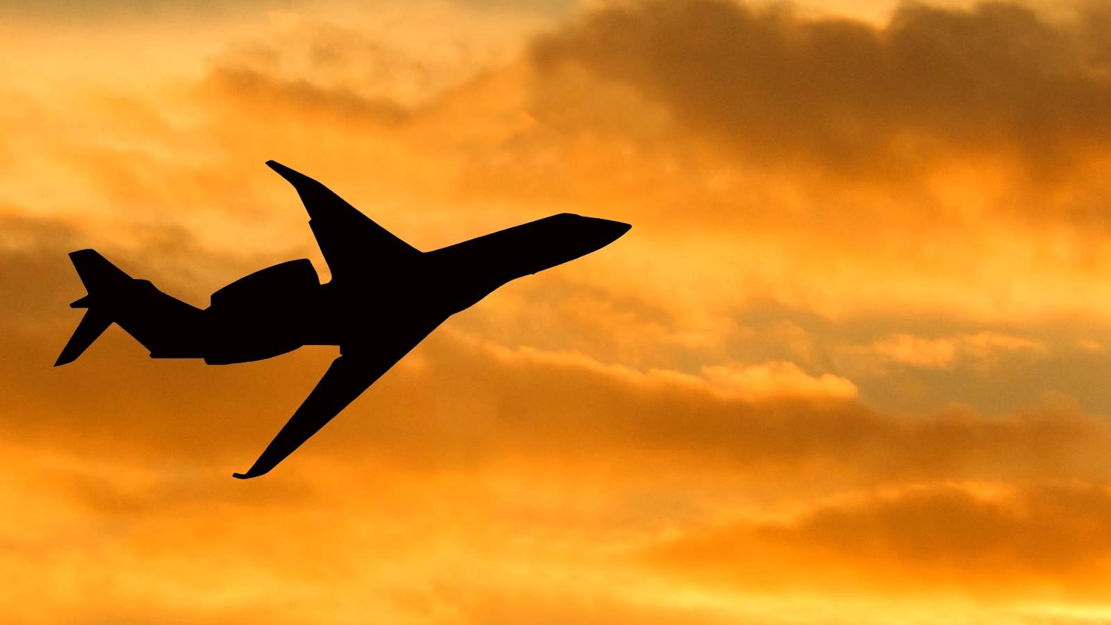 5 Amazing Private Jets Owned By F1 Drivers