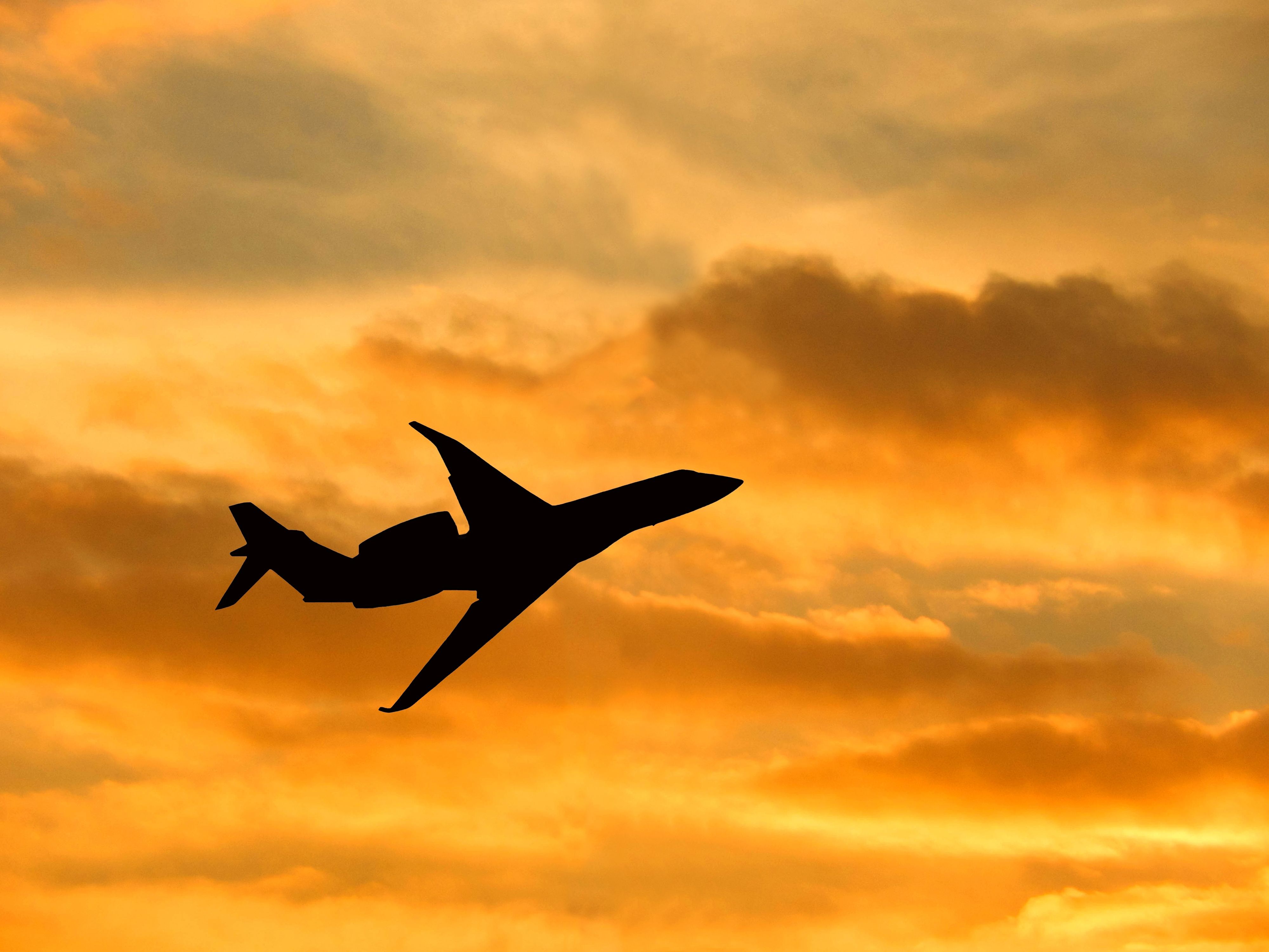 NTSB Issues Preliminary Report On Collision At Houston Hobby Airport