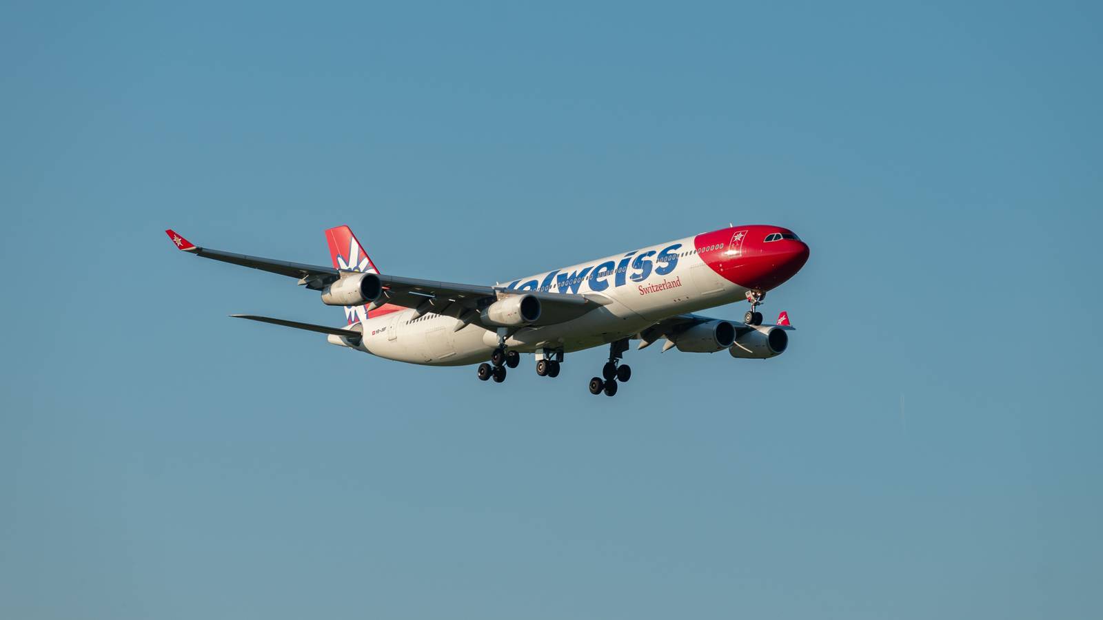 Edelweiss To Double Its Flights To Tampa International Airport