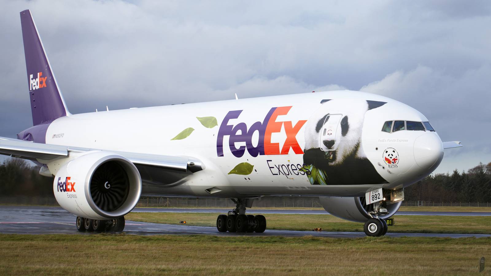 World's Most Tracked Flight Transporting Pandas From Washington To China