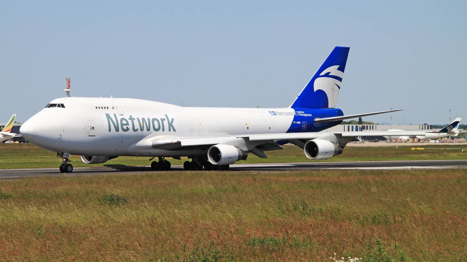 Escaped Horse Forces Belgium-Bound Boeing 747 Freighter To Return To New York JFK