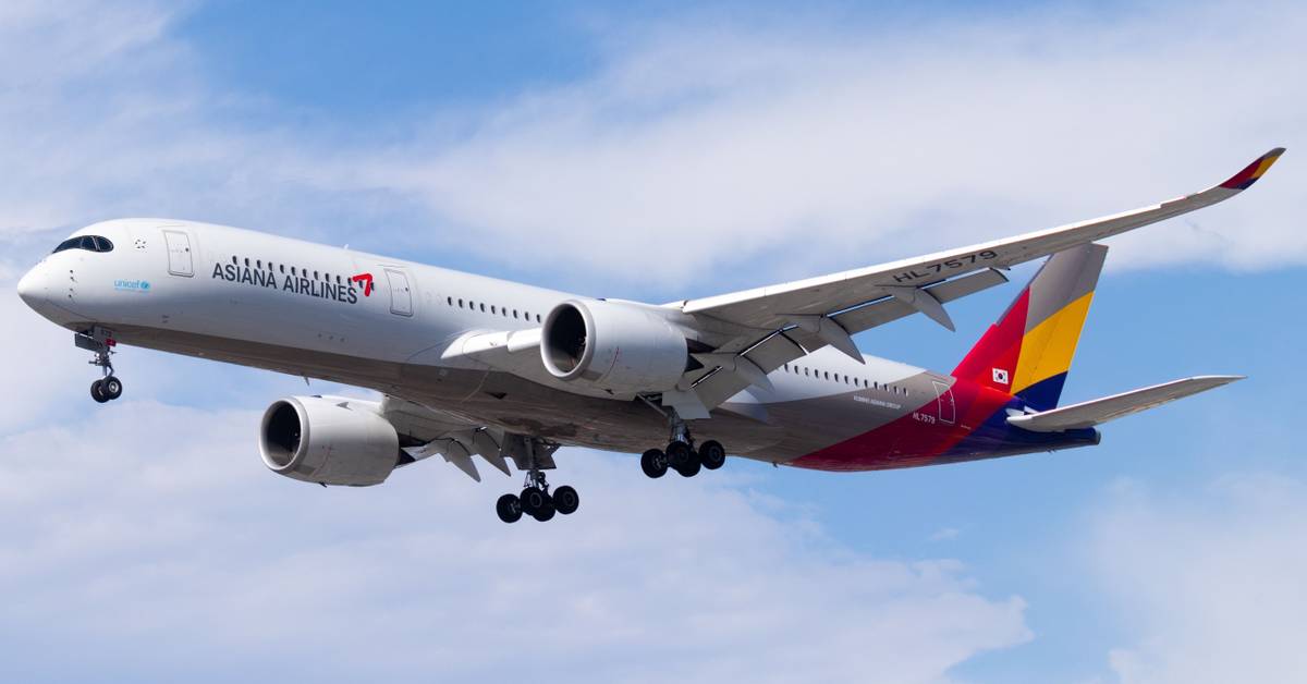 航空機・ヘリコプター Asiana Airlines Airbus A350-900 Asiana Airlines Airbus A350-900 Dips To 375 Feet On Approach 3