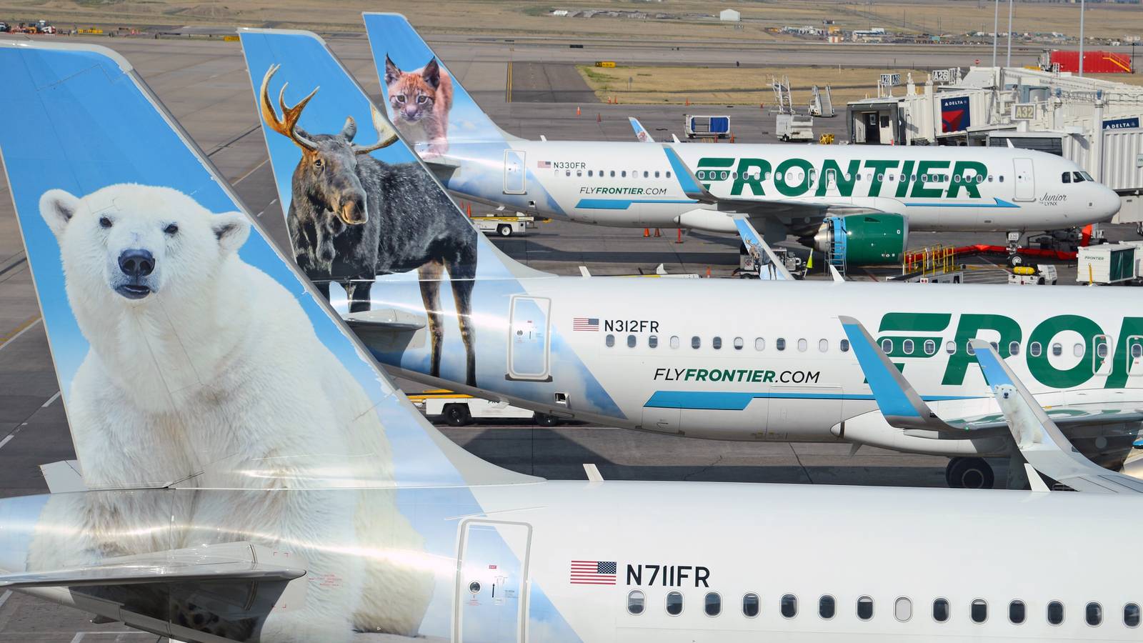 Here's Why Frontier Airlines Paints Animals On Its Aircraft Tails