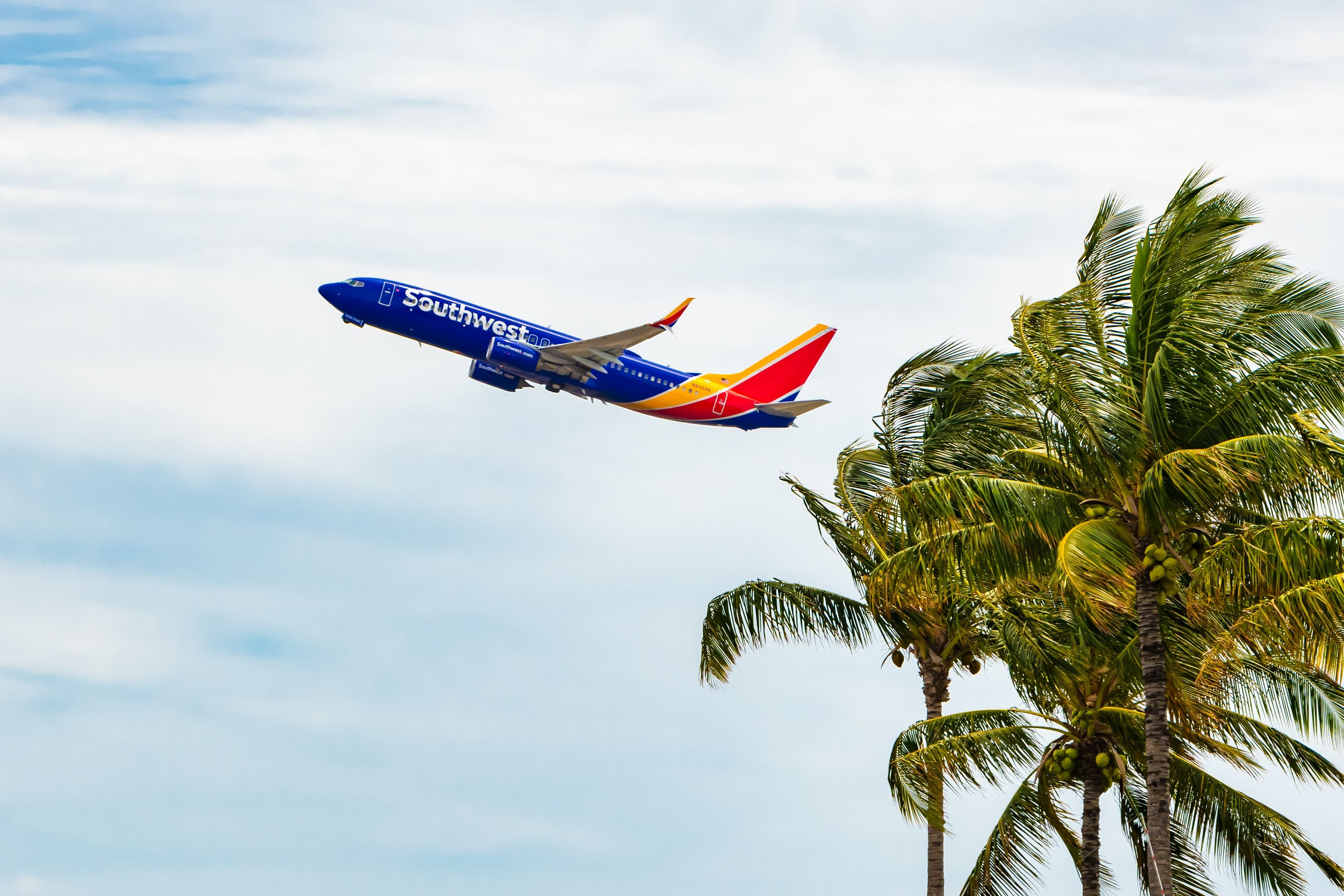 San Francisco & Oakland: Which Airlines Have The Largest Presence In the Bay Area?