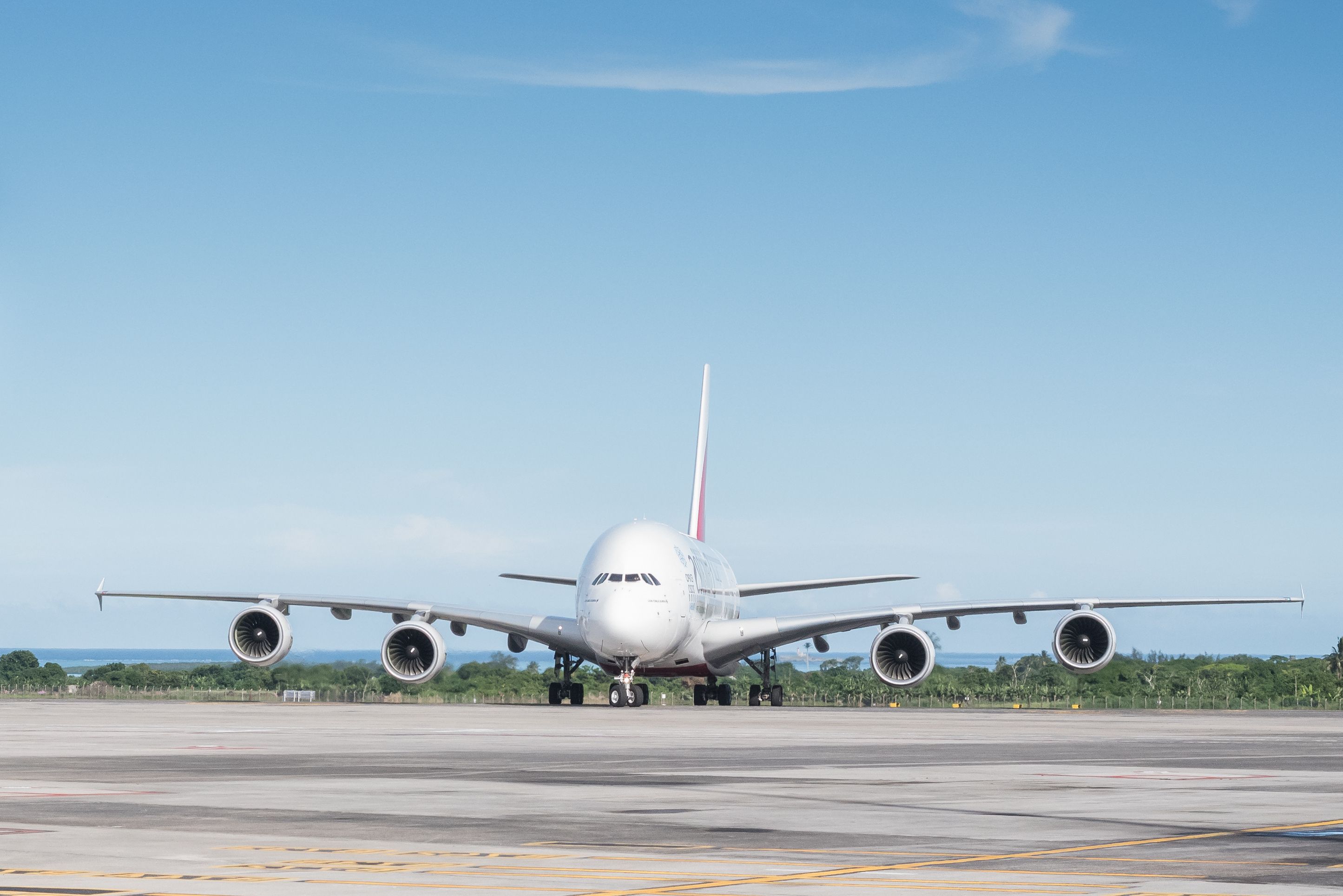 Veganuary In The Sky: The Airlines Offering Vegan Meals Onboard In 2024
