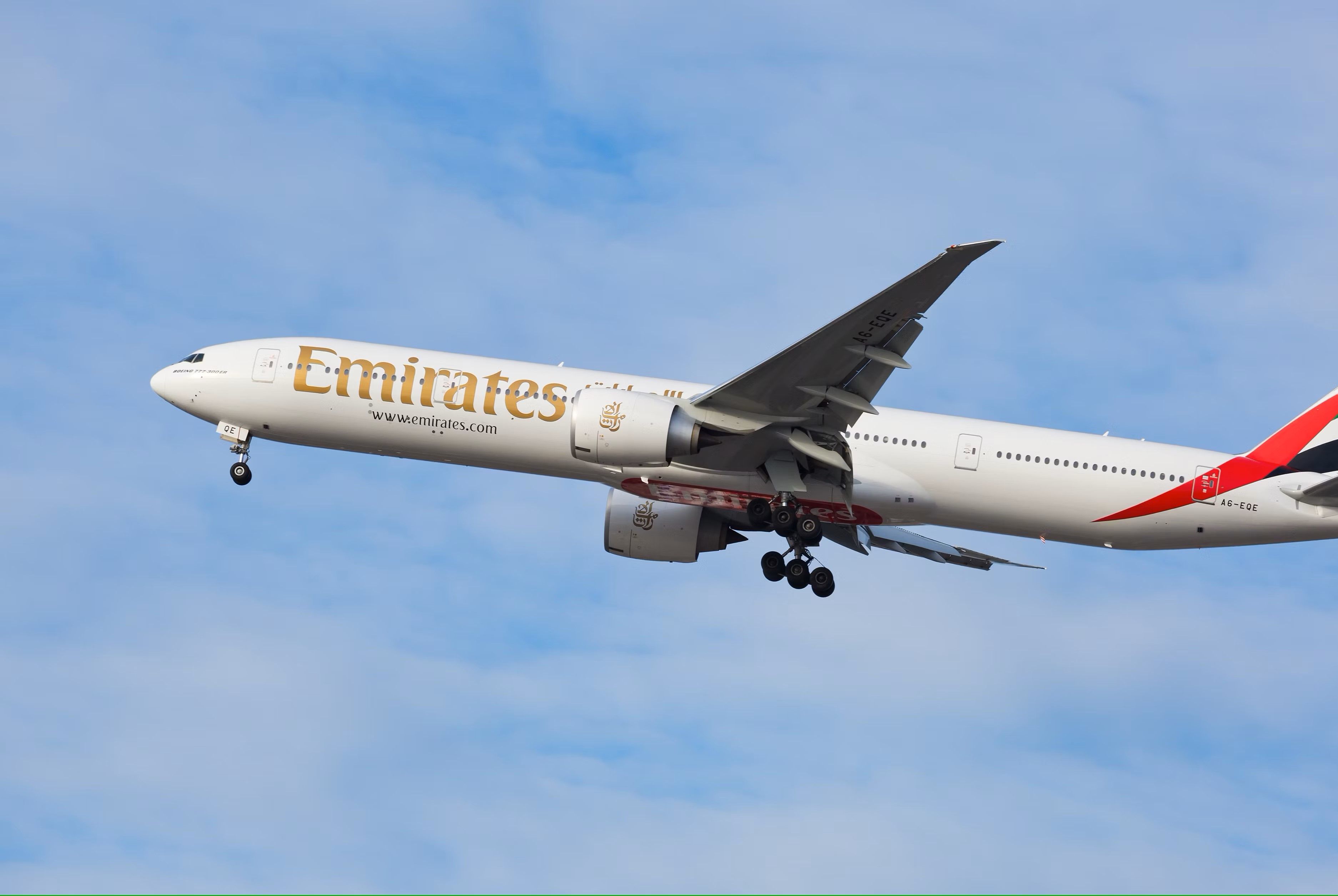 Throwback: The Saudi Prince That Bought Seats On A Flight For 80 Falcons