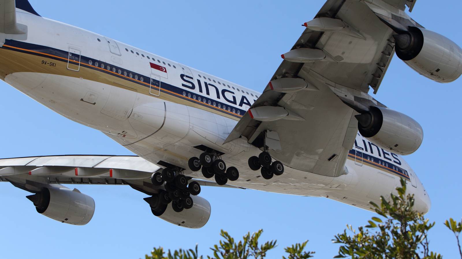 Singapore Airlines Earns Record 9-Month Revenue & Profit